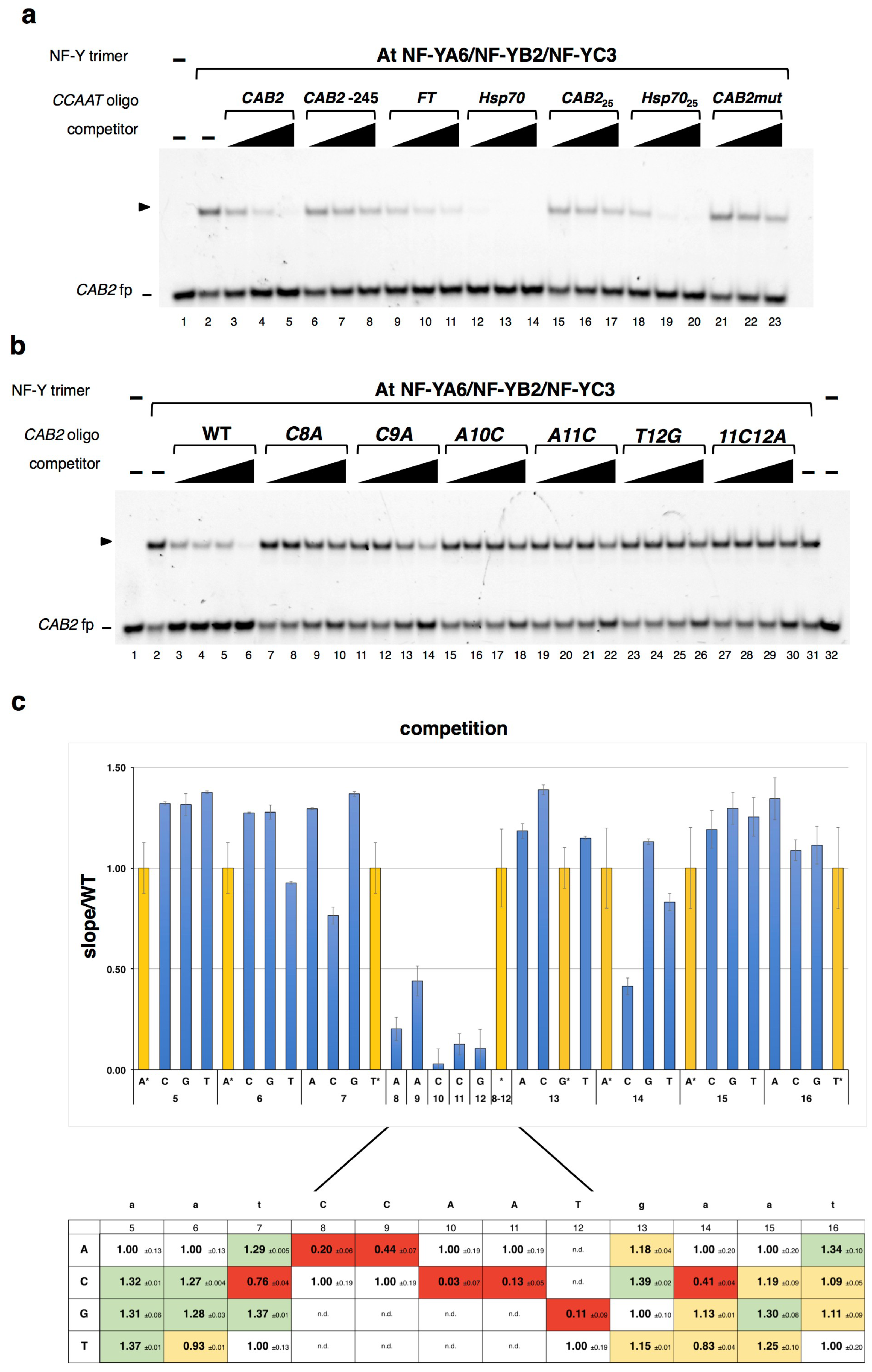 Plants 08 00406 g002