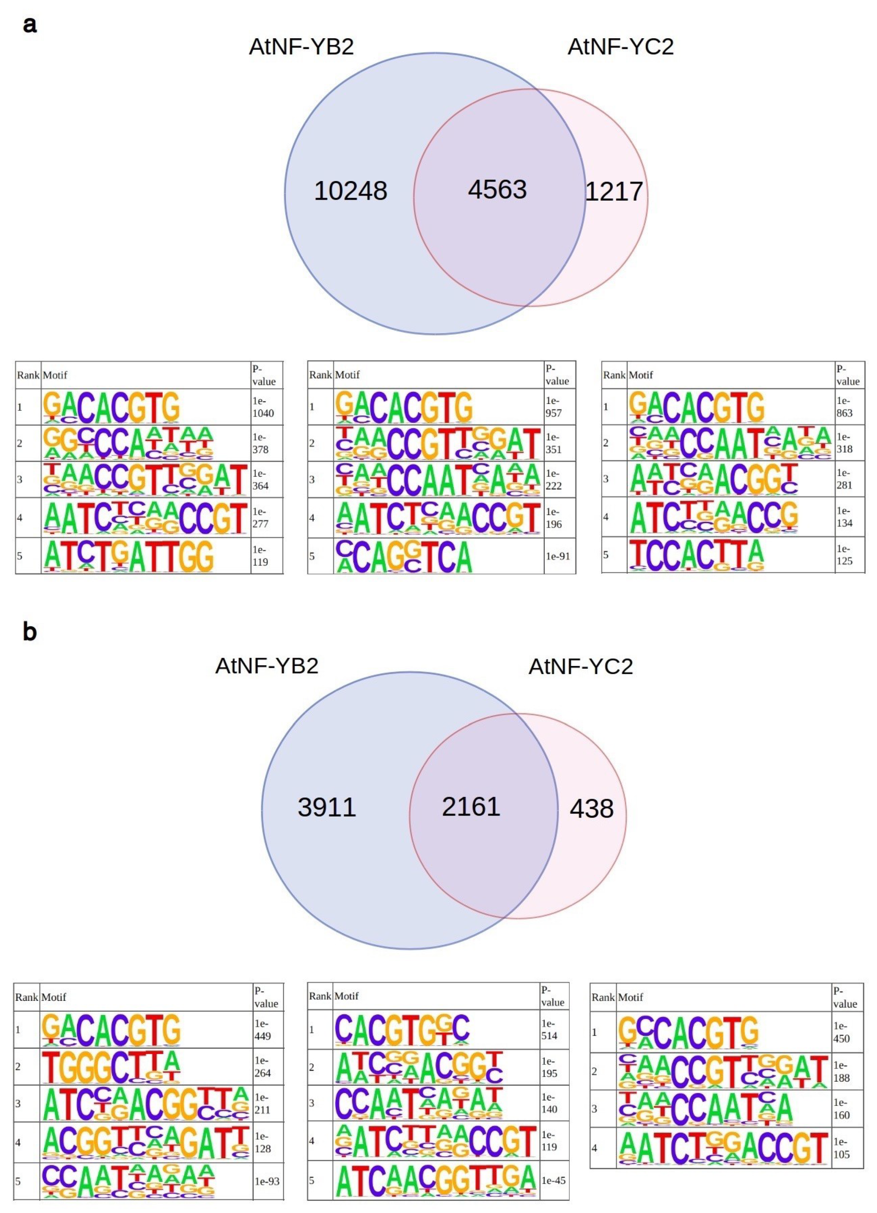 Plants 08 00406 g003