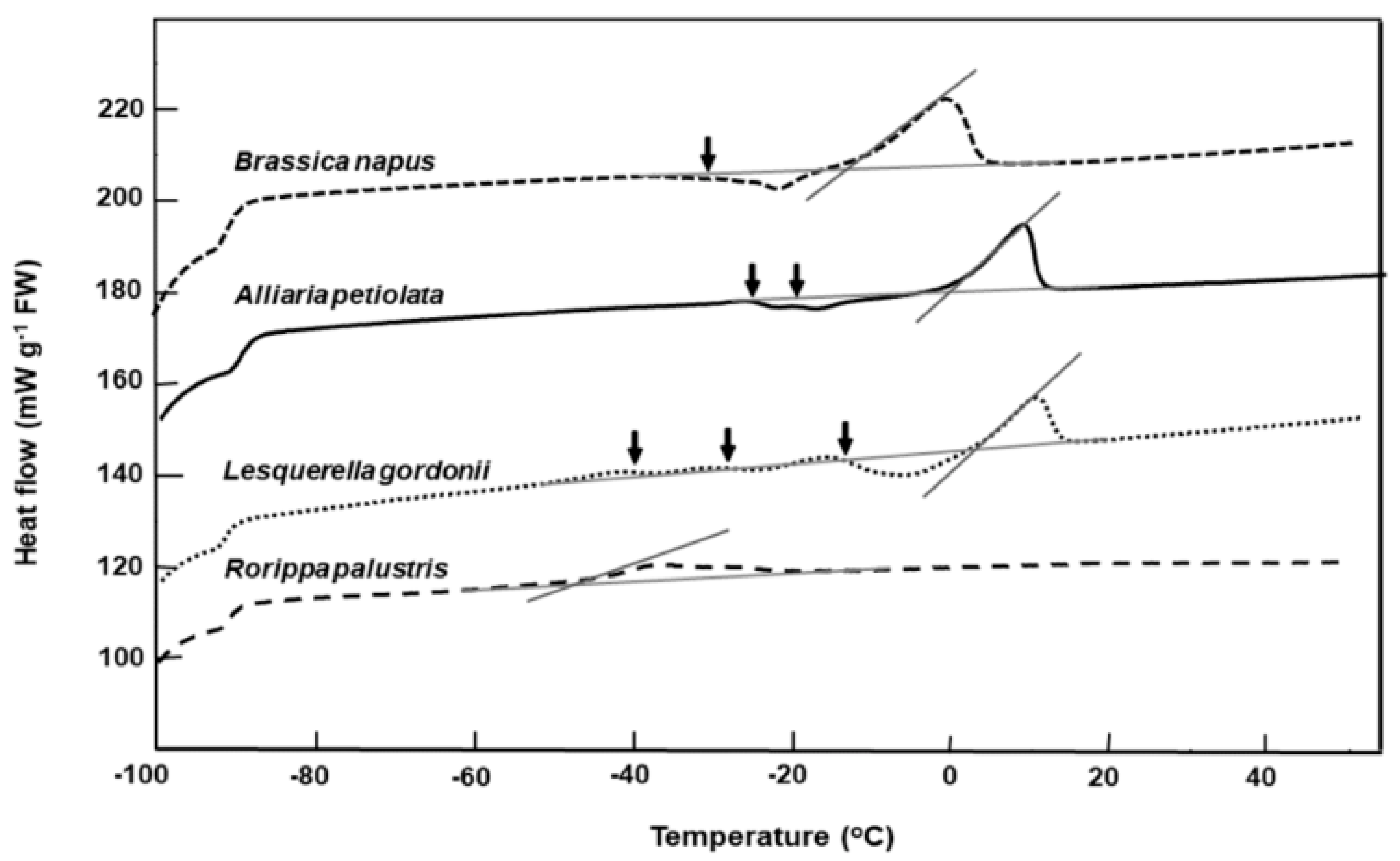Plants 08 00414 g002