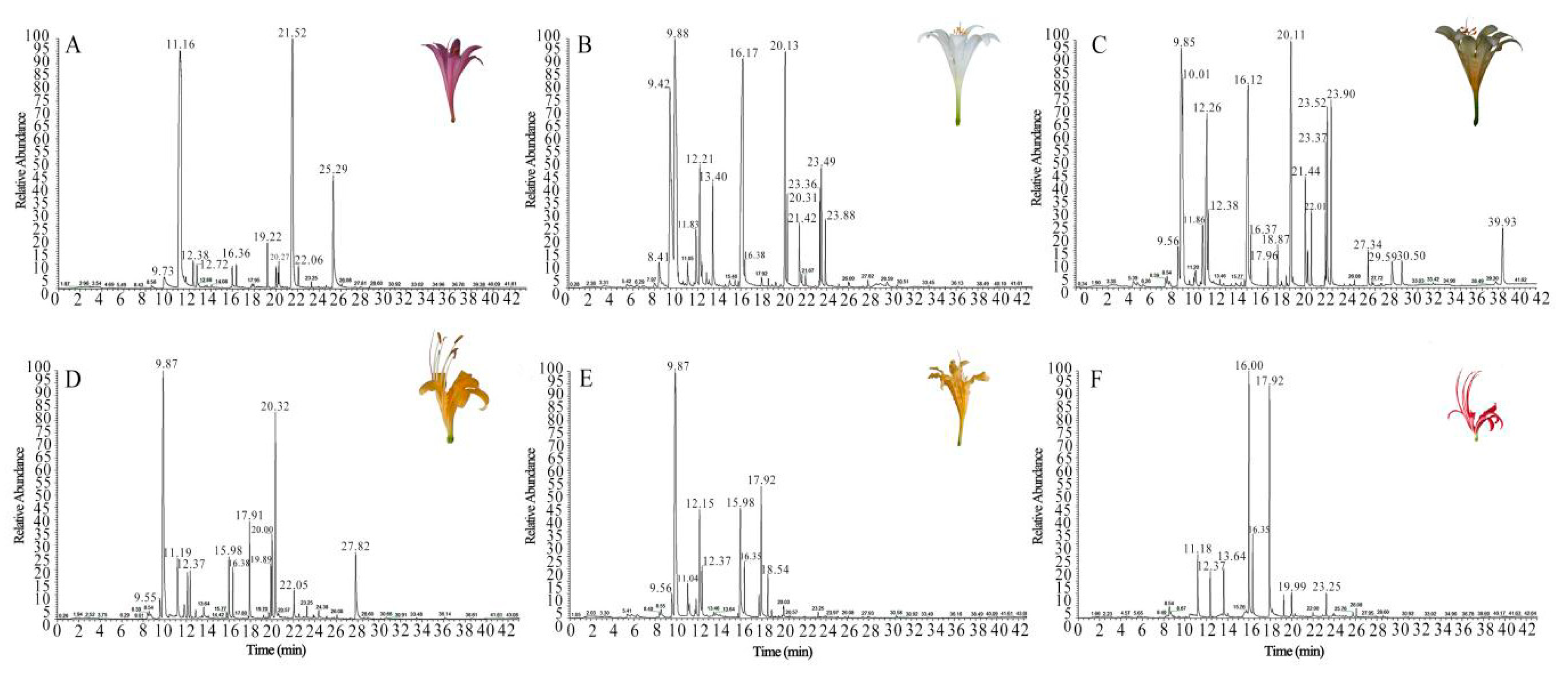 Plants 08 00422 g001 Plants 08 00422 g001