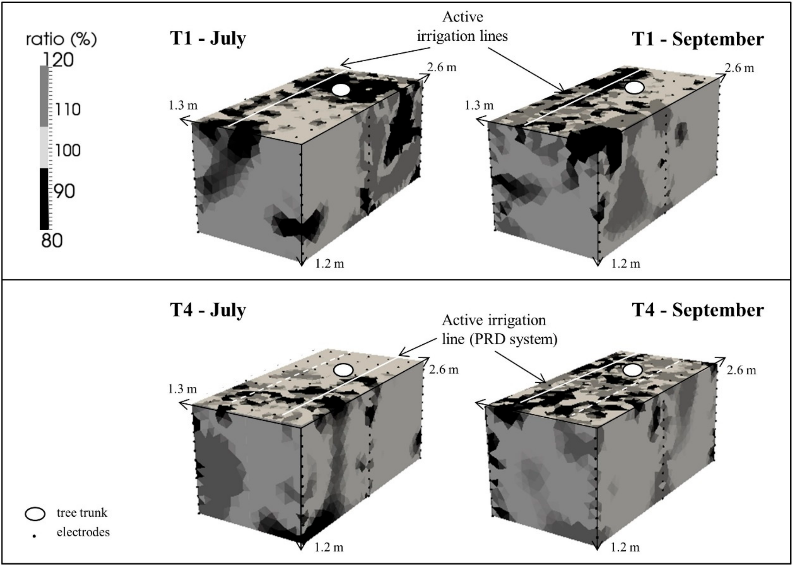 Plants 08 00423 g008