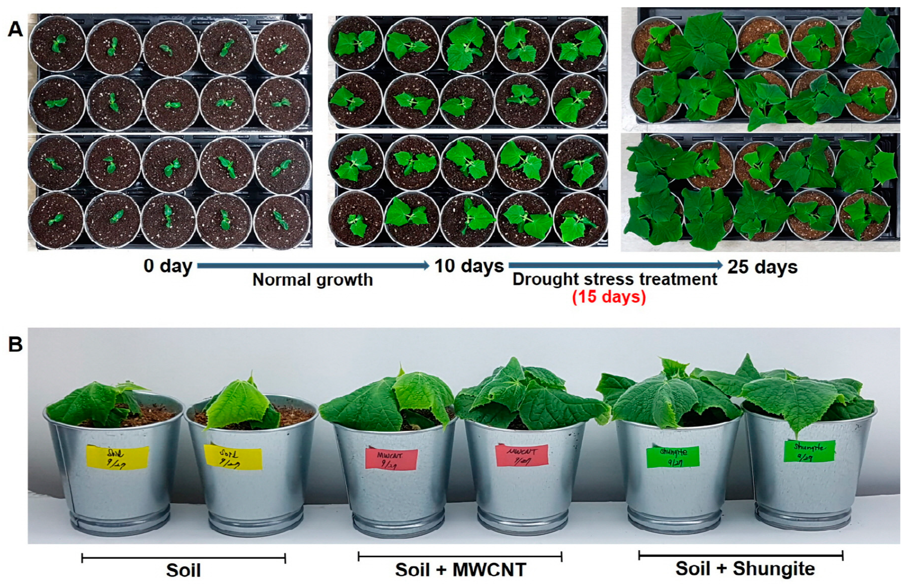 Plants 08 00446 g001