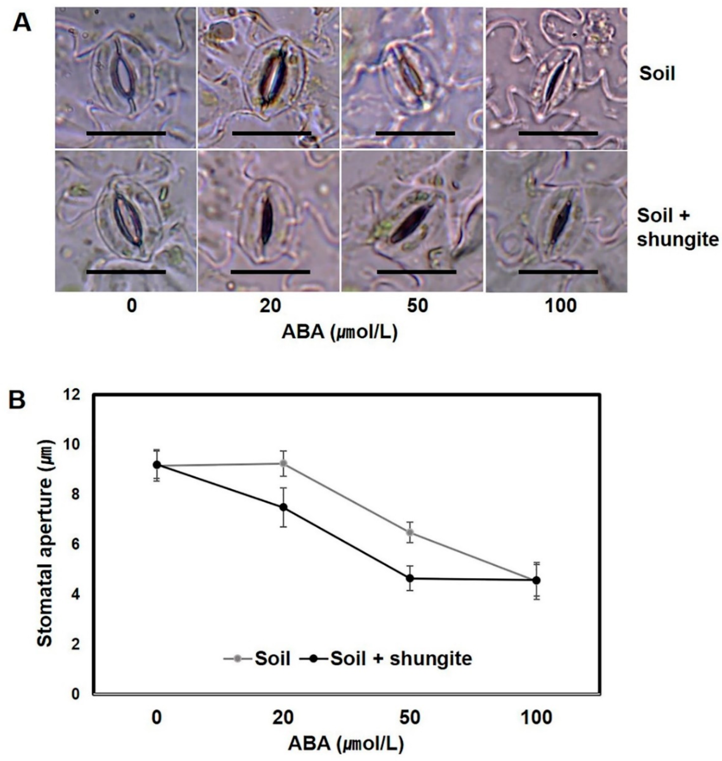 Plants 08 00446 g005