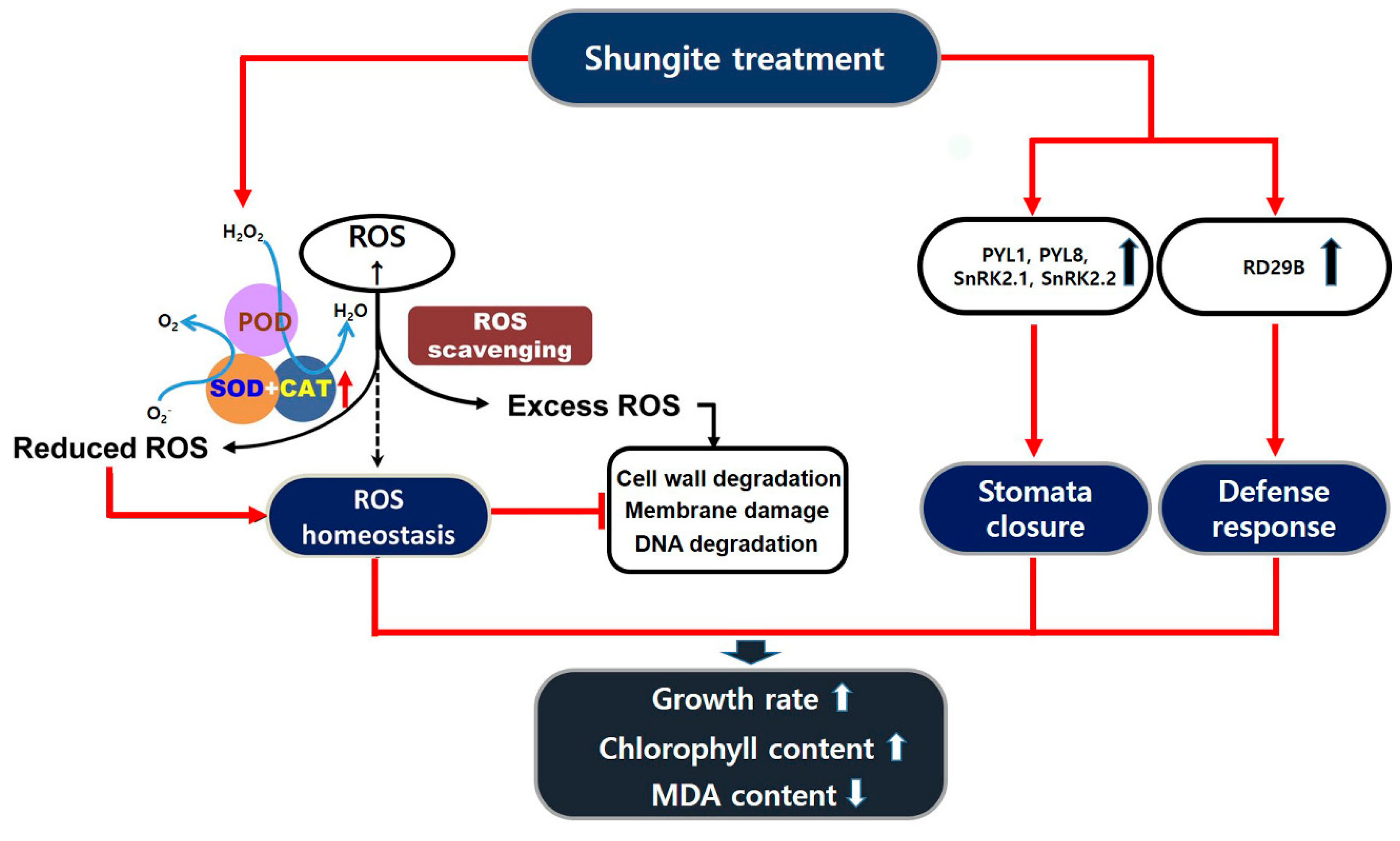 Plants 08 00446 g007