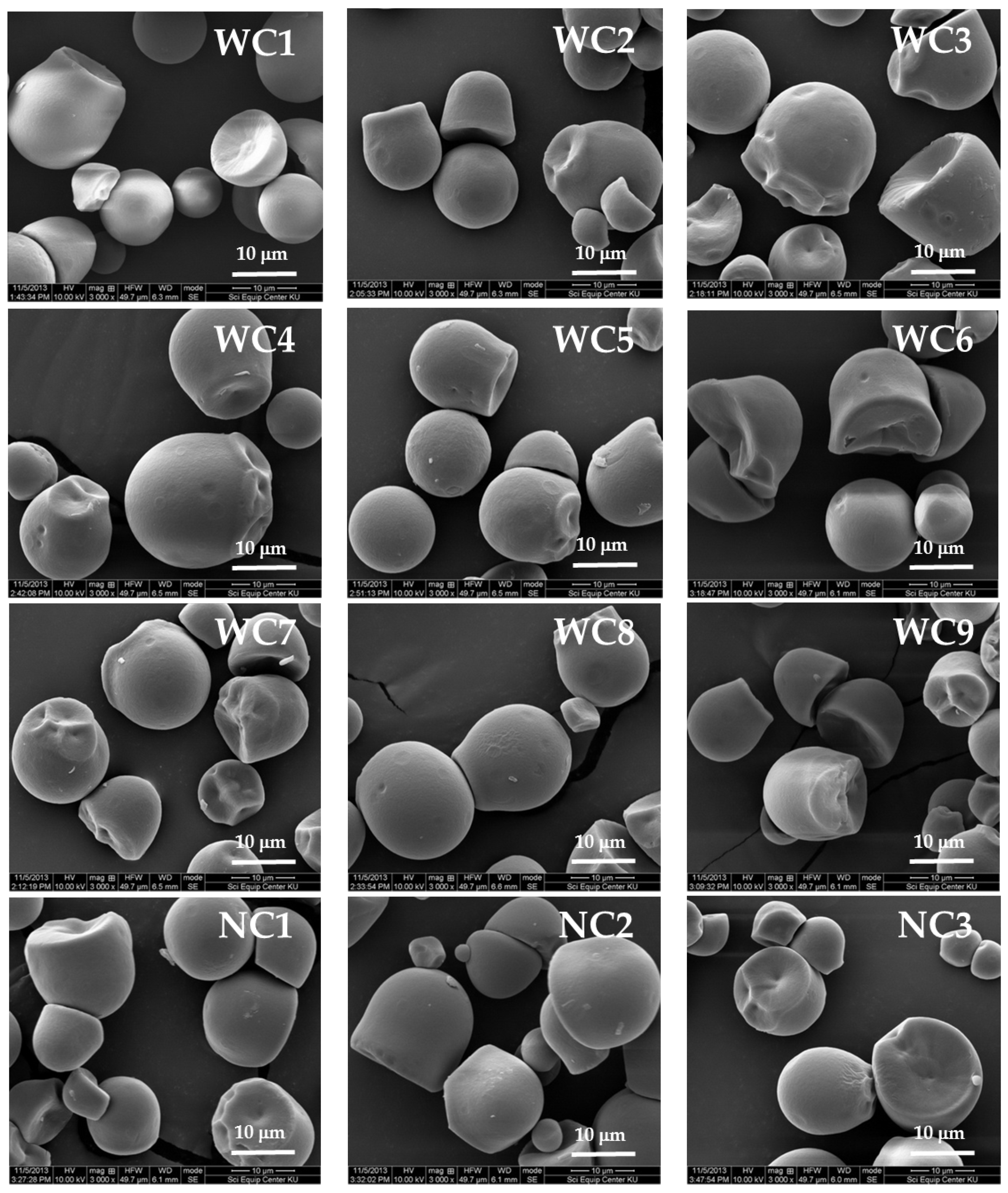 Plants 08 00447 g002