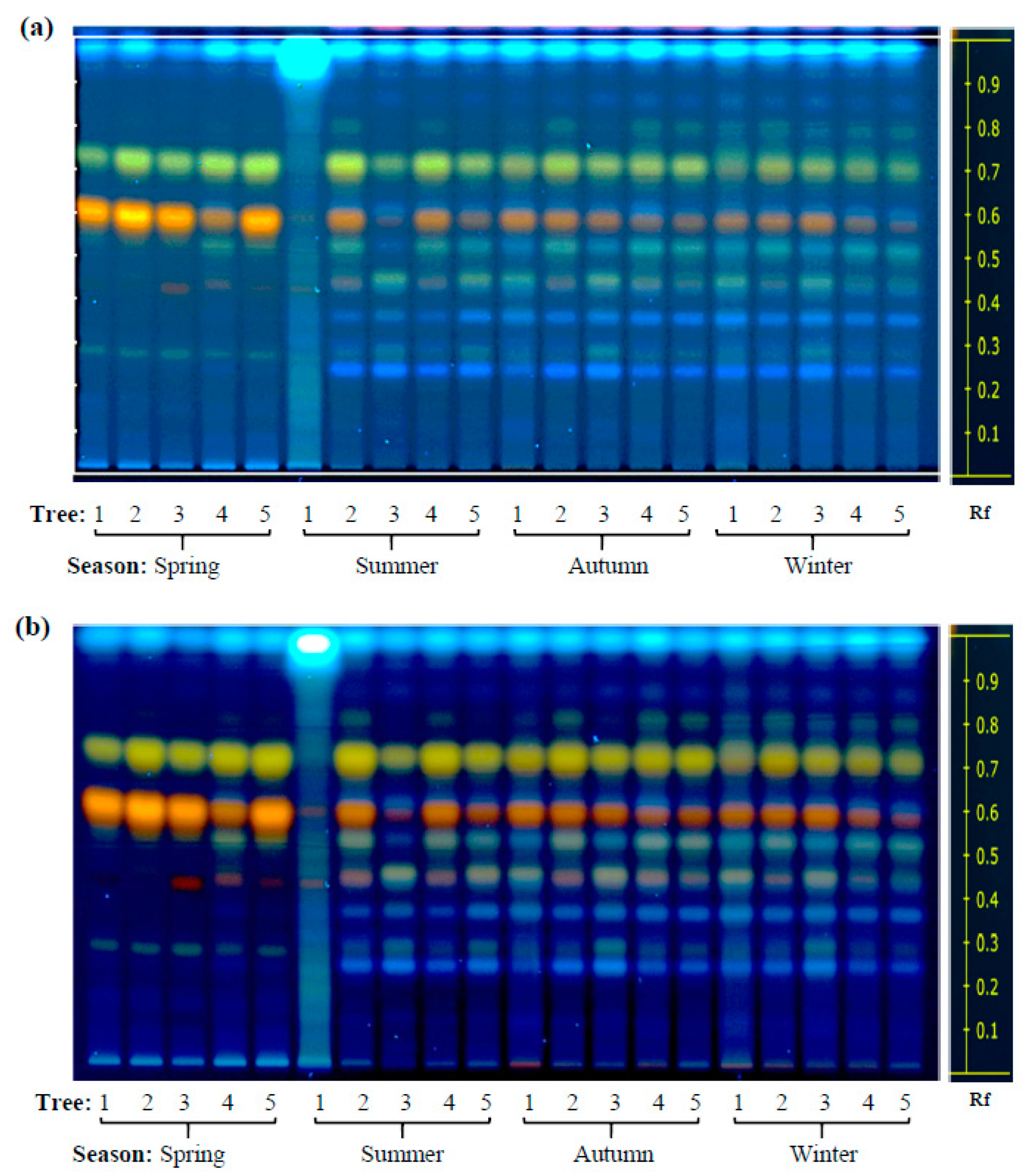 Plants 08 00449 g001