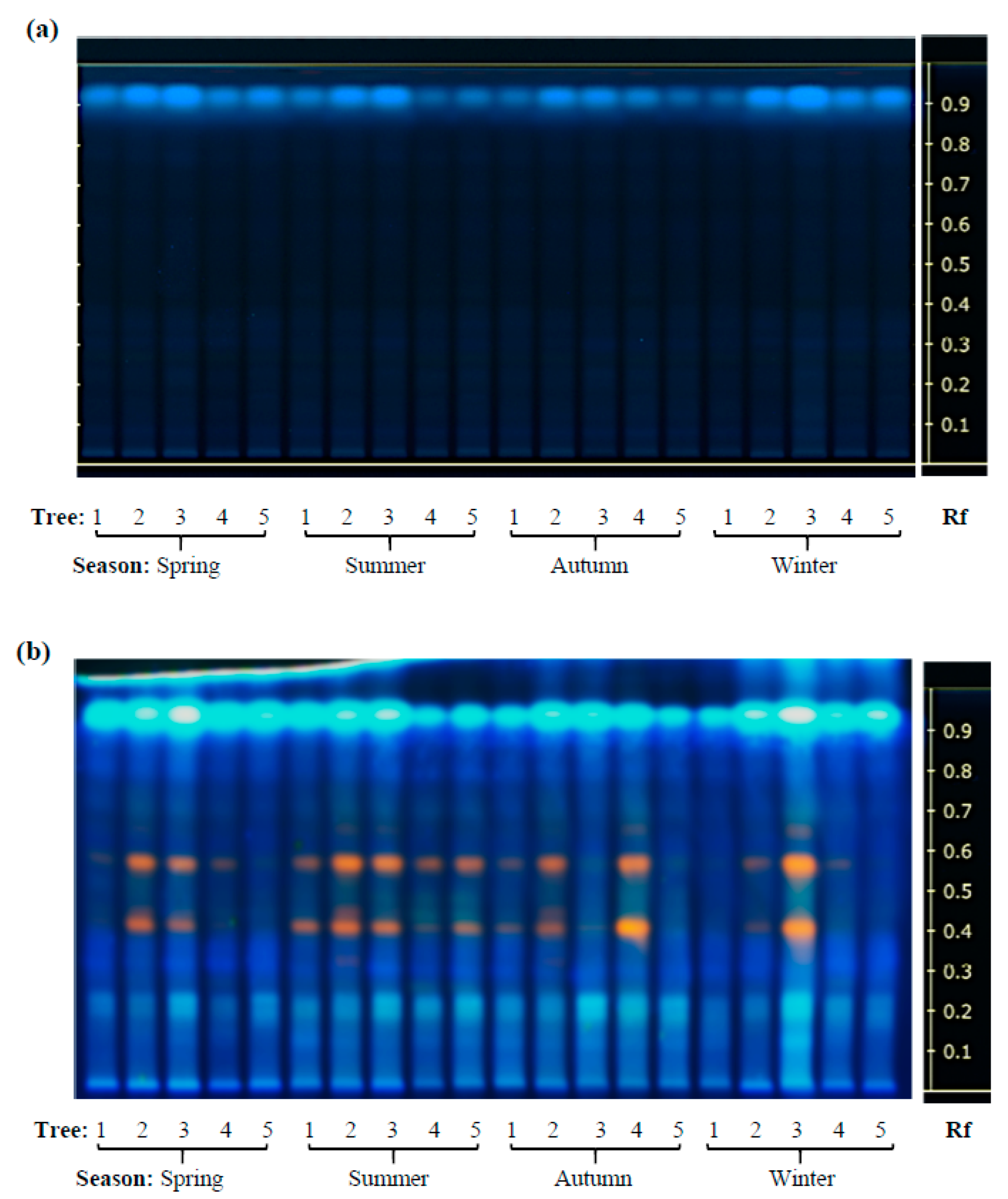 Plants 08 00449 g002