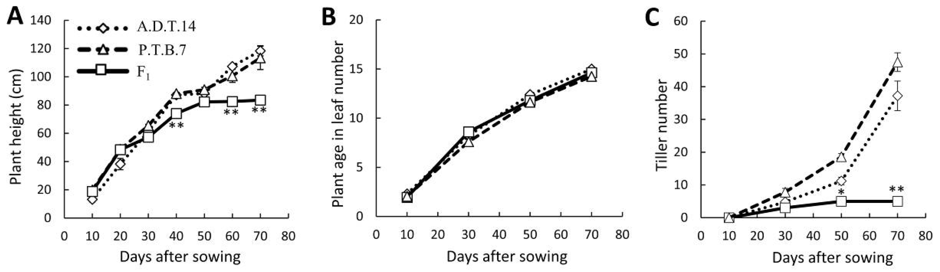 Plants 08 00450 g002