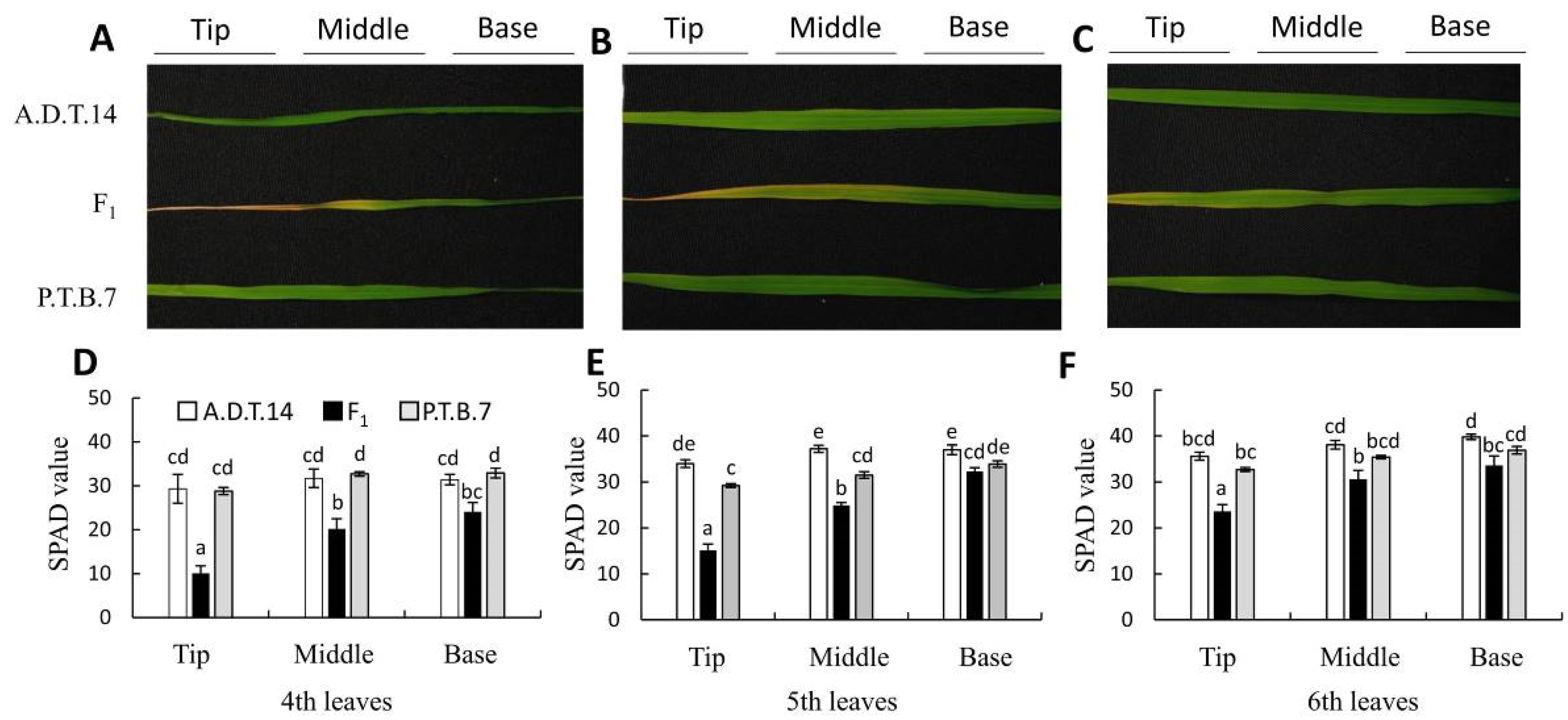 Plants 08 00450 g003