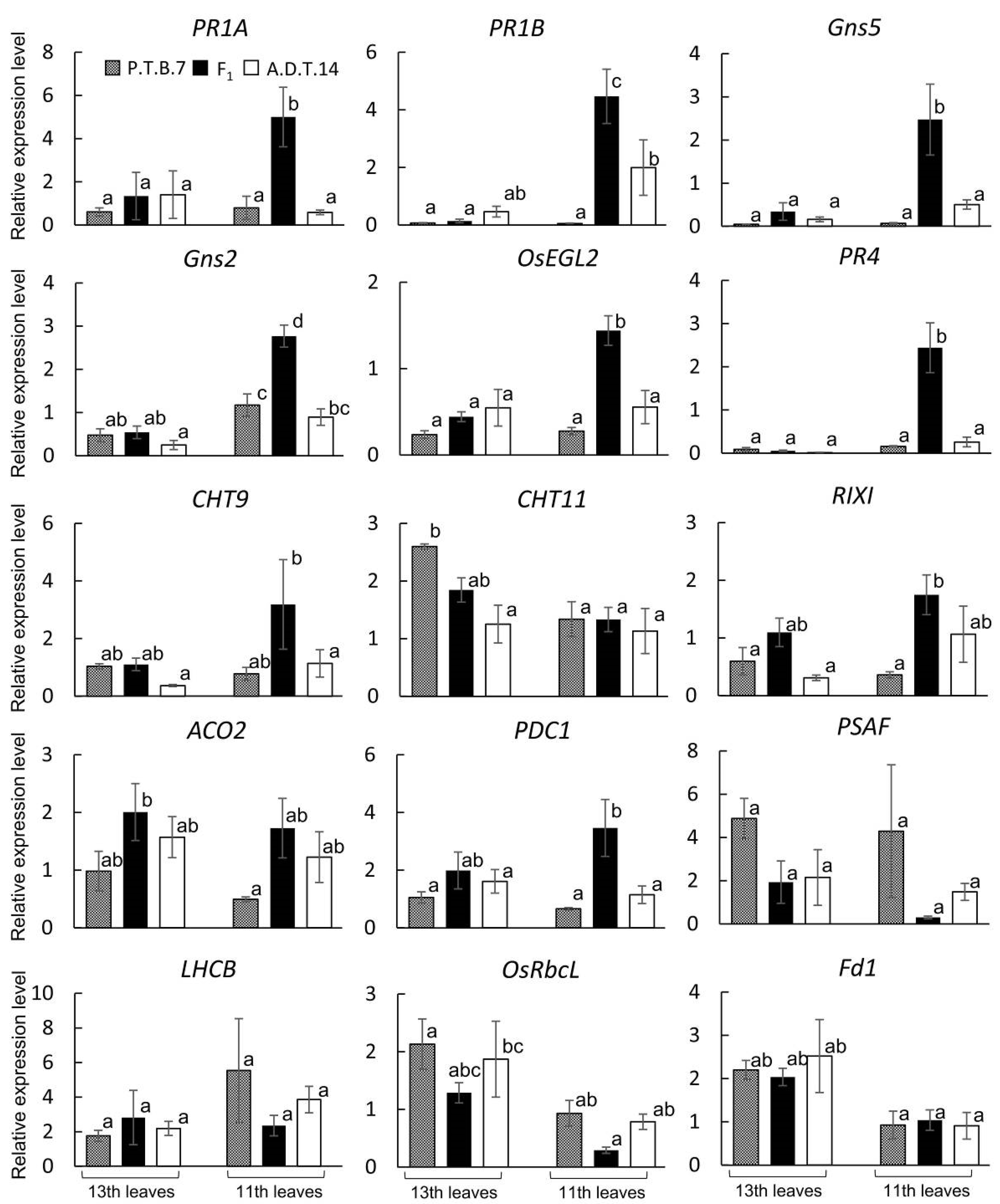 Plants 08 00450 g008