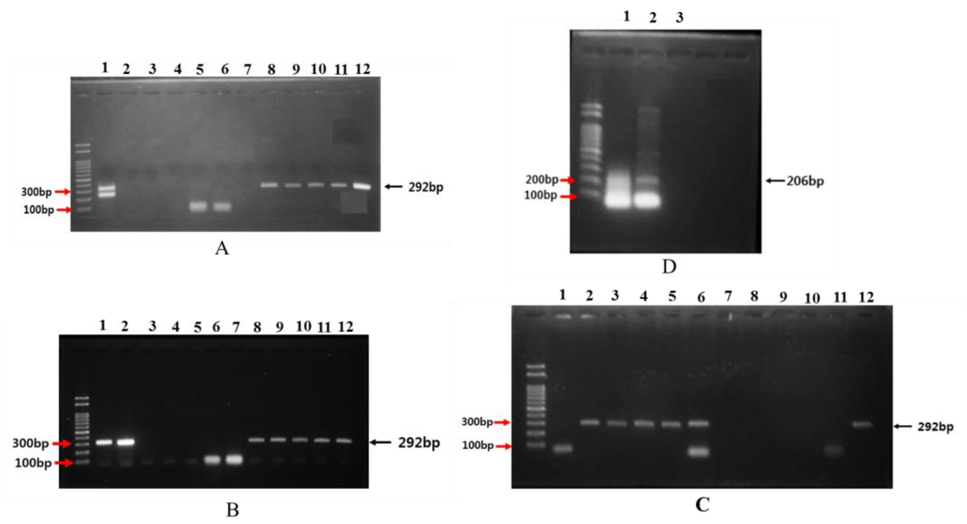 Plants 08 00452 g003