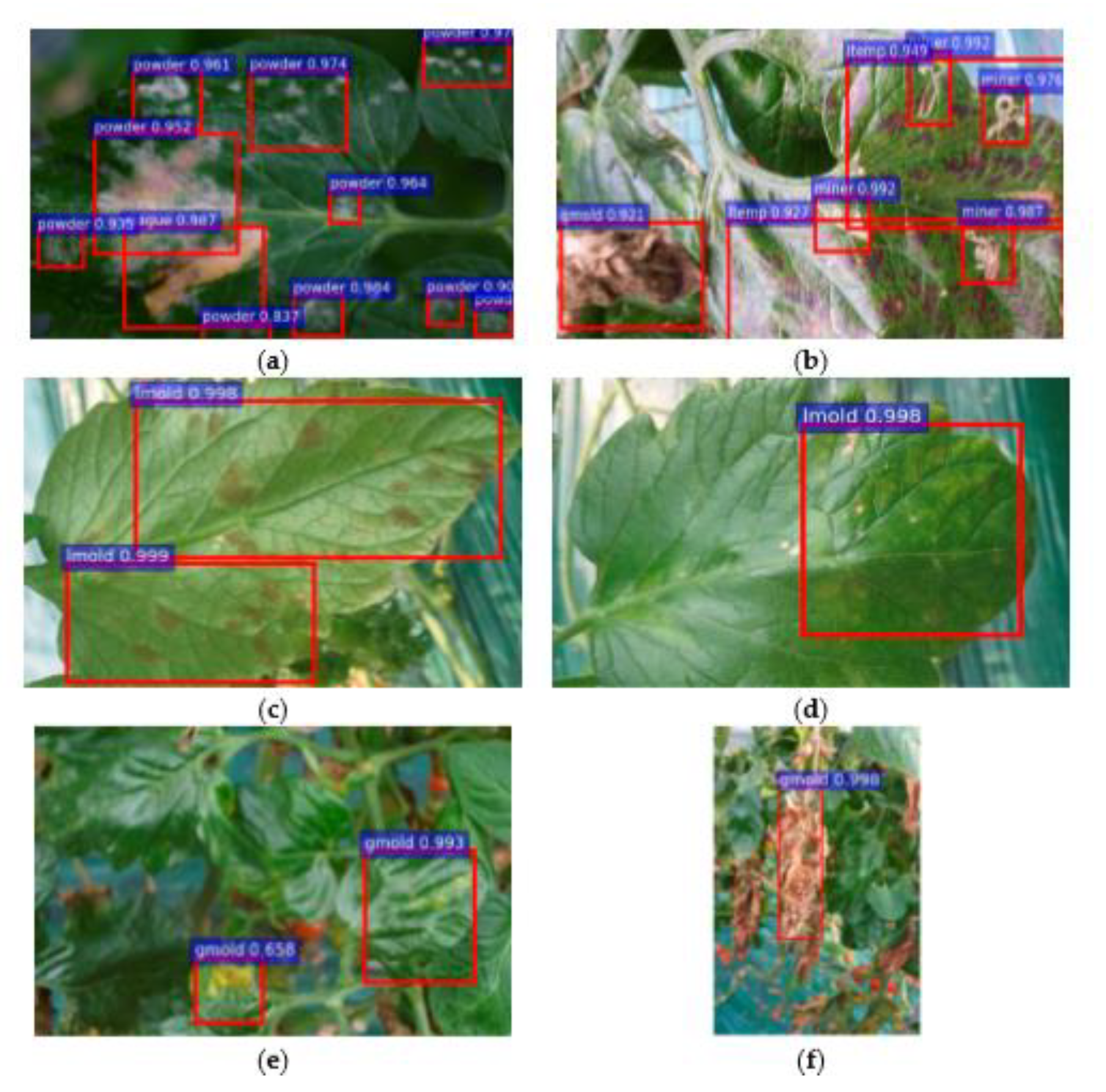 Plants 08 00468 g007