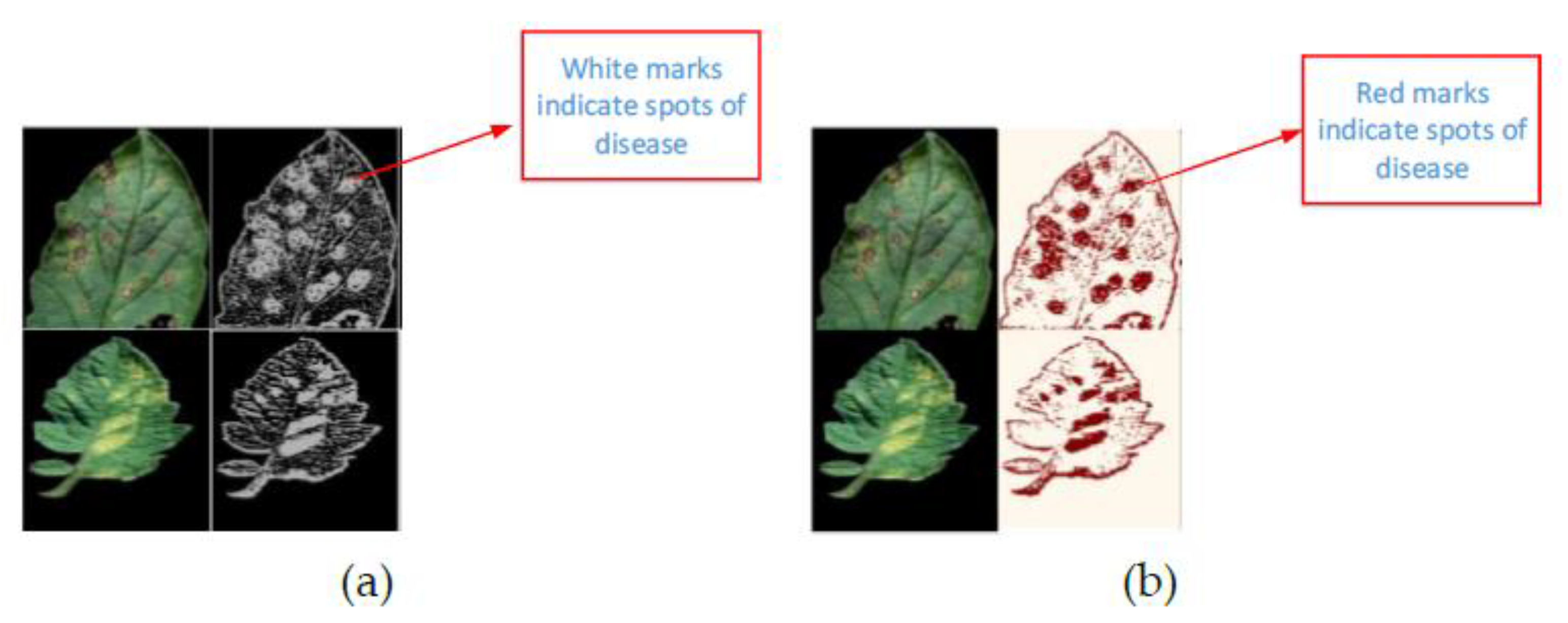 Plants 08 00468 g008