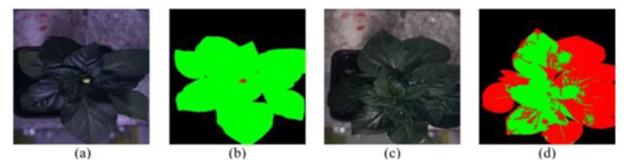 Plants 08 00468 g013