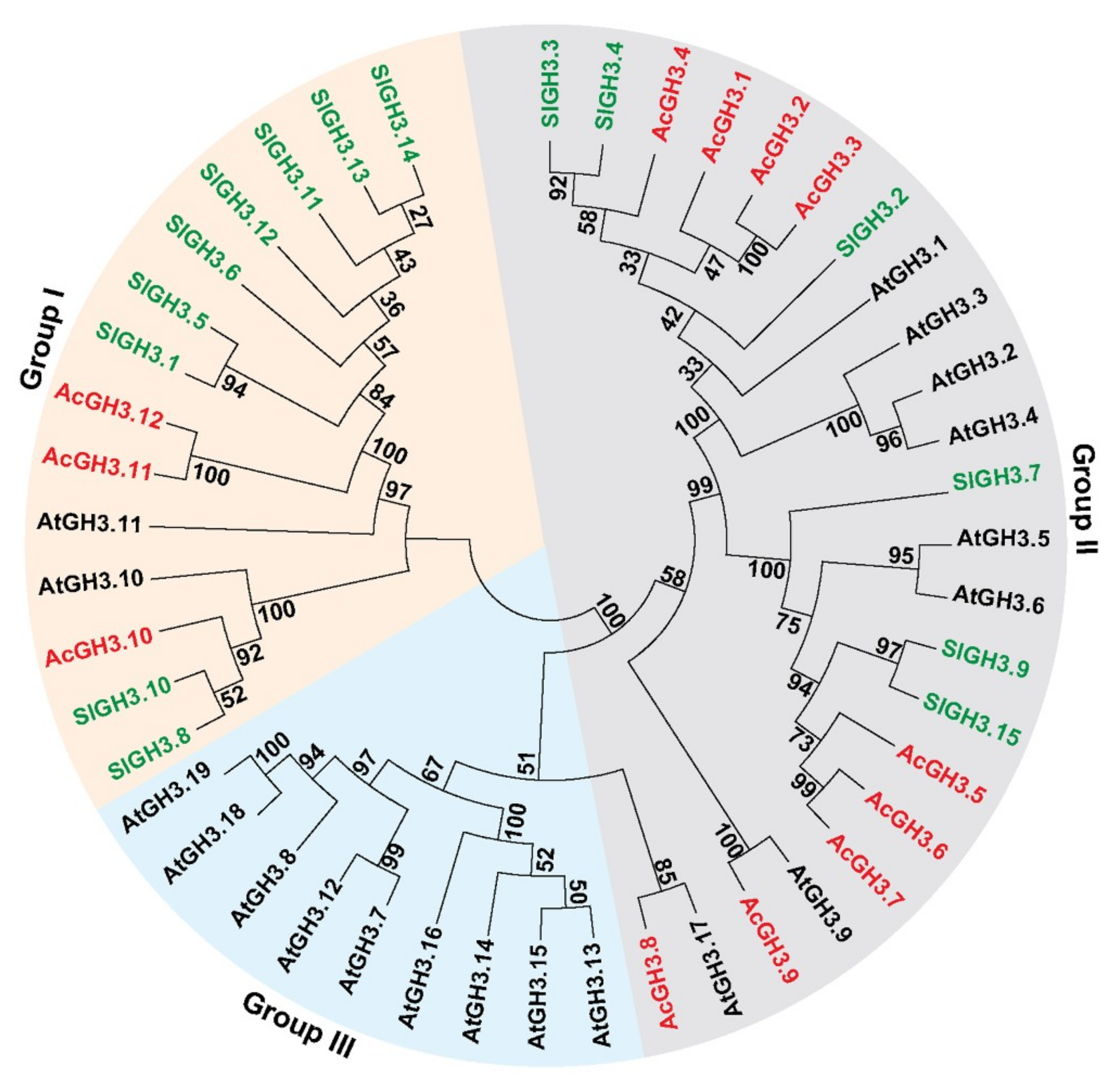 Plants 08 00473 g001 Plants 08 00473 g001