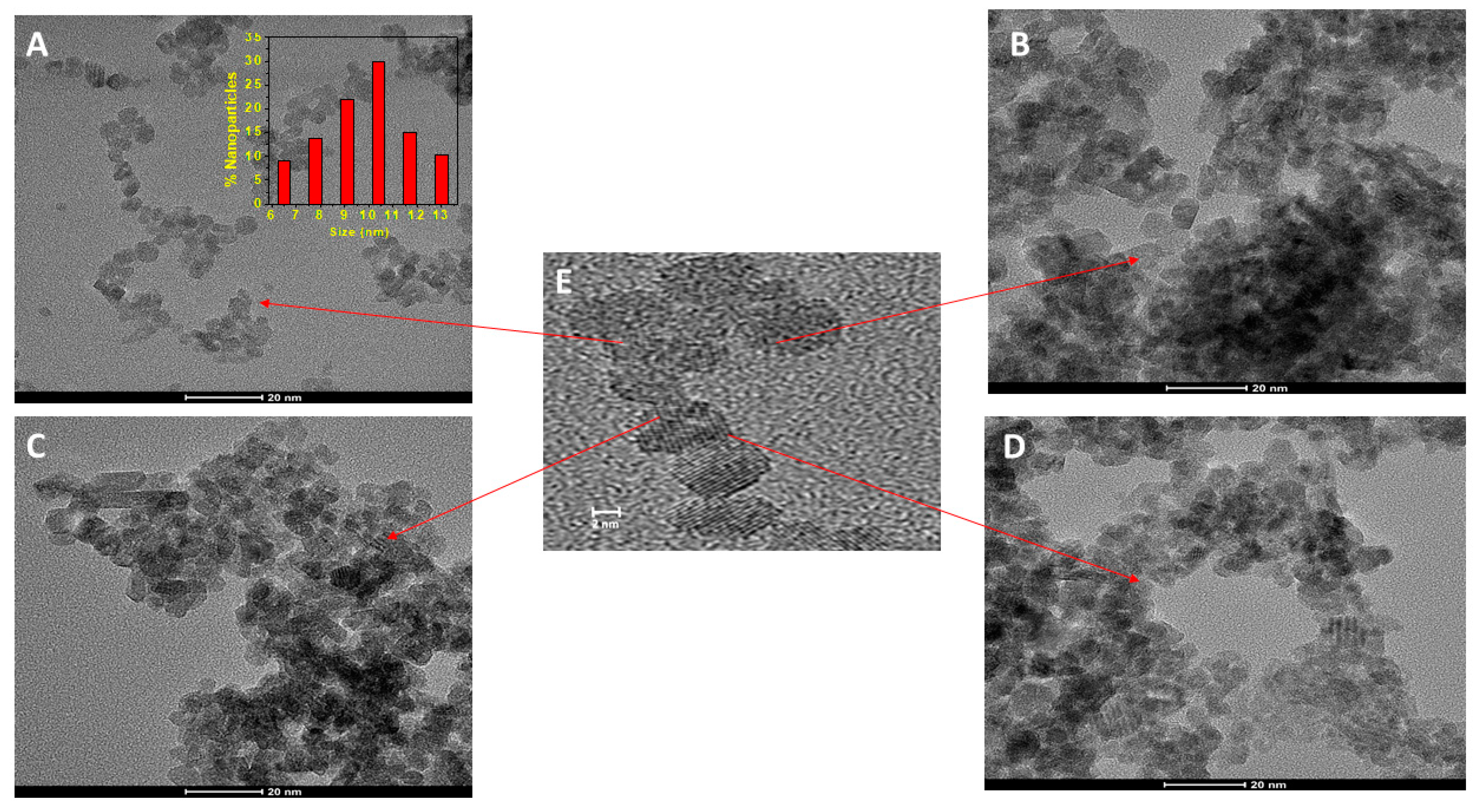 Plants 08 00478 g001