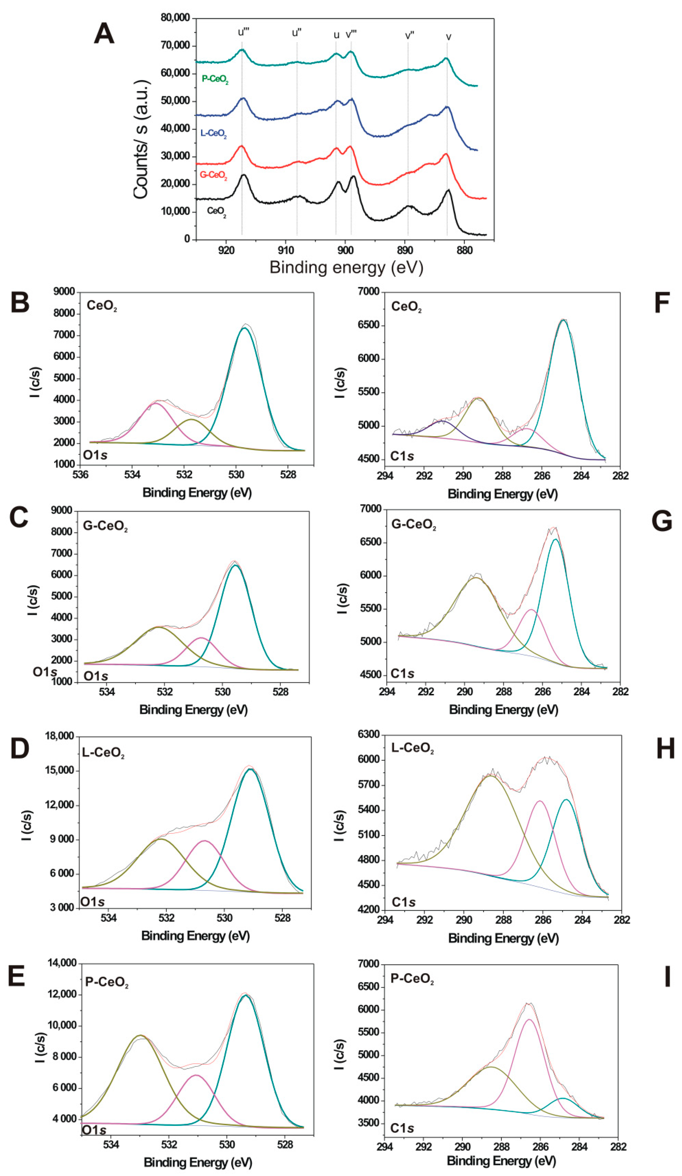 Plants 08 00478 g003