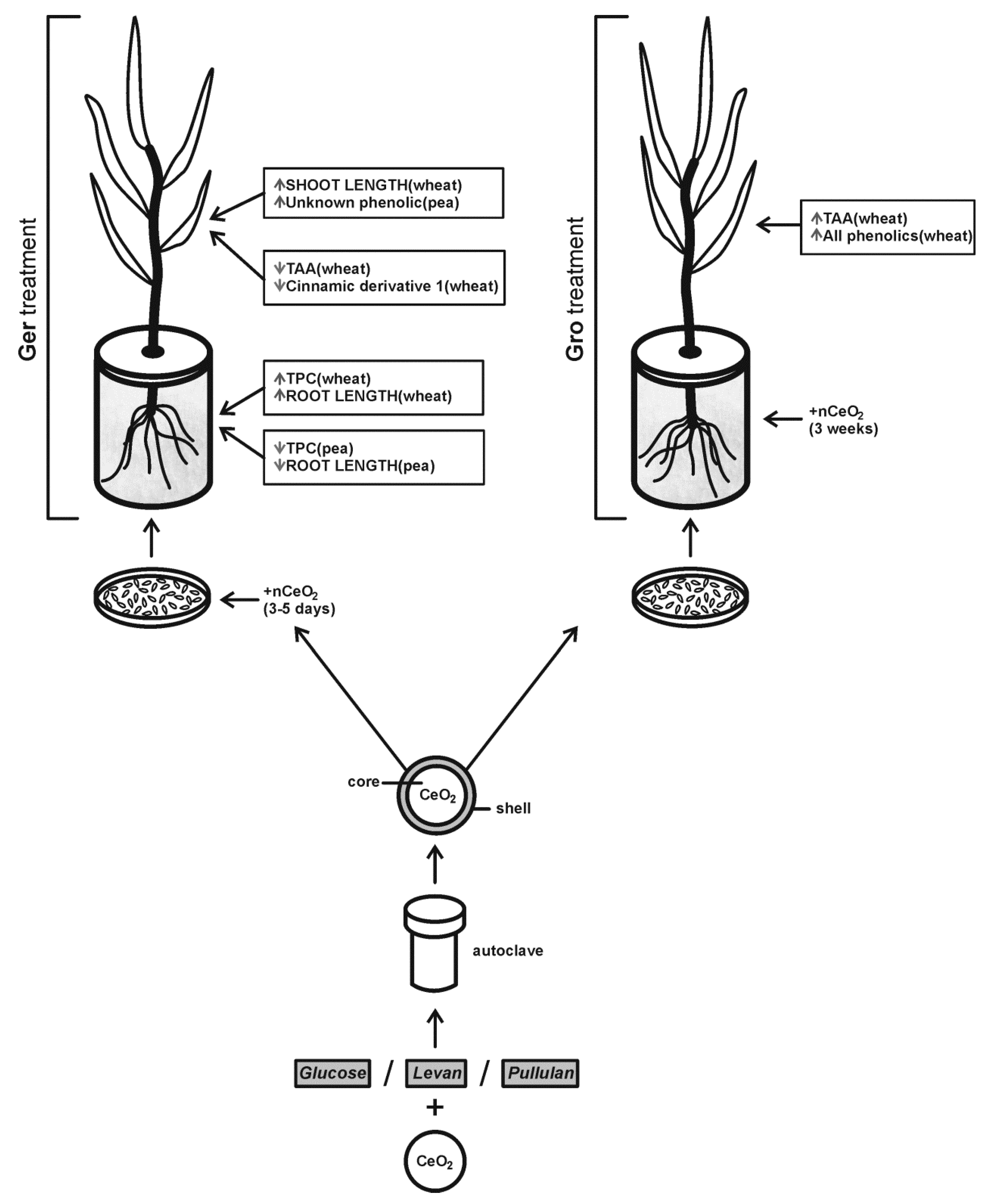 Plants 08 00478 g009