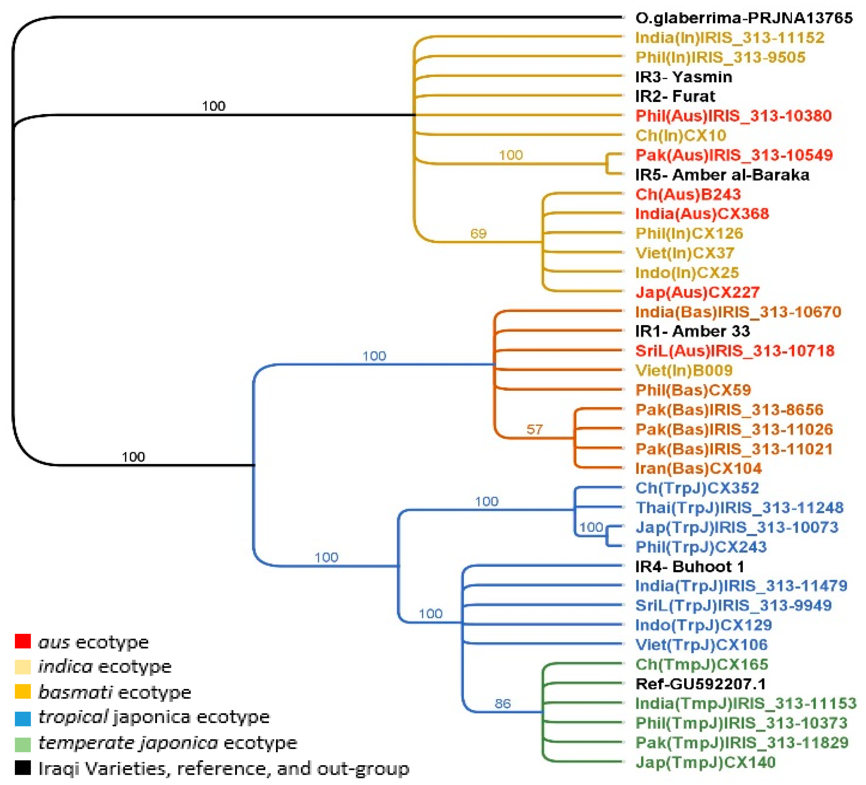 Plants 08 00481 g001