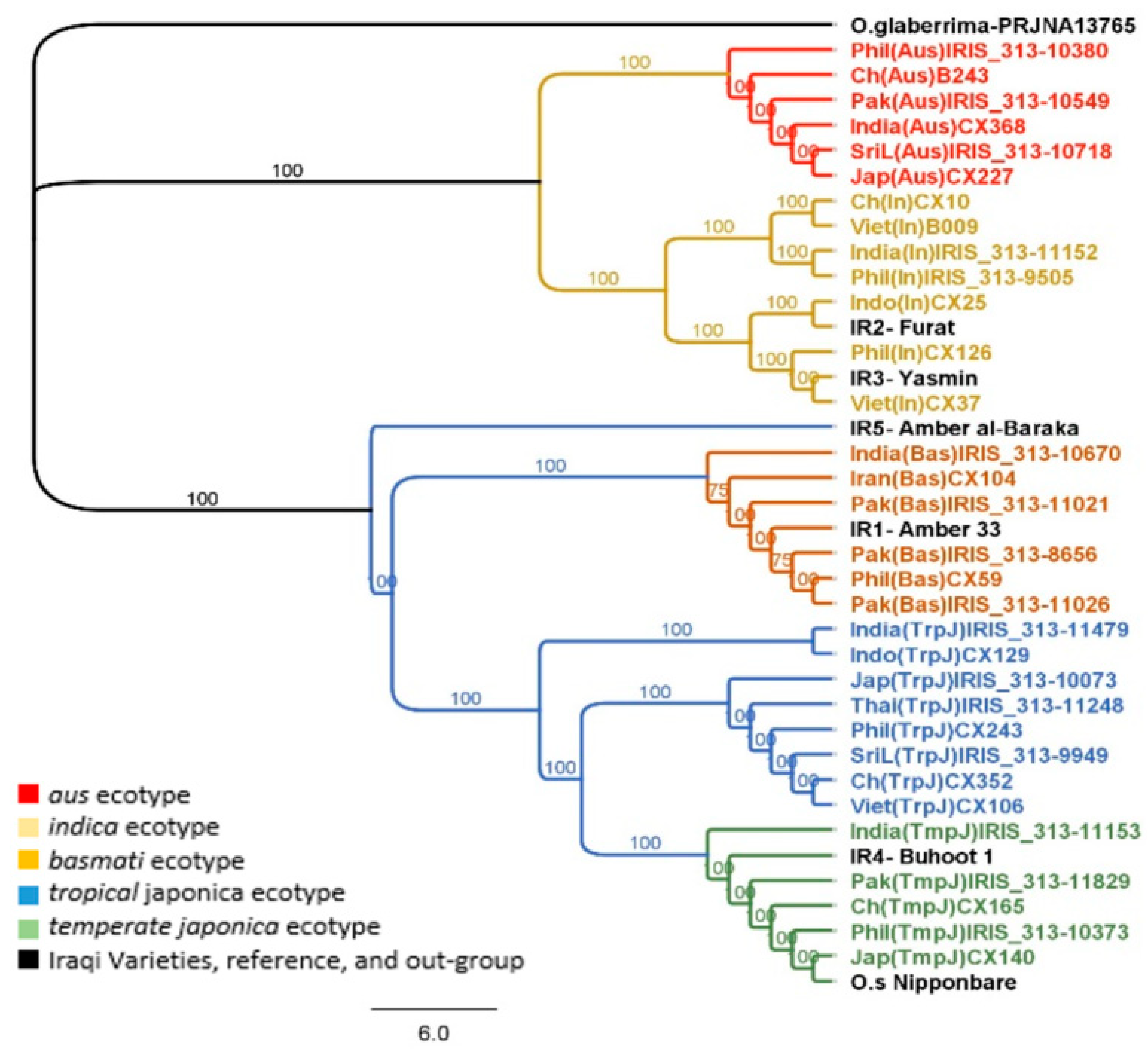 Plants 08 00481 g002