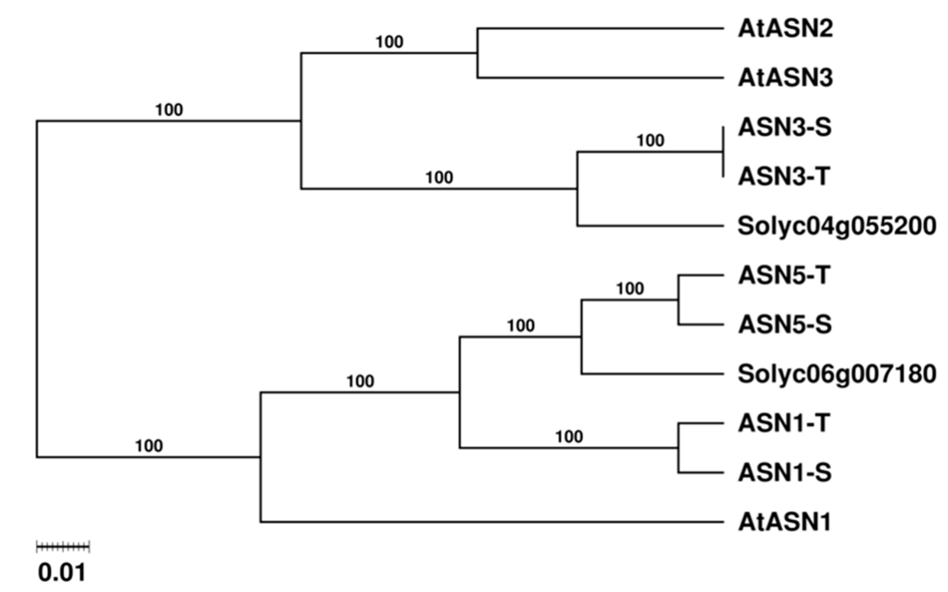 Plants 08 00492 g002