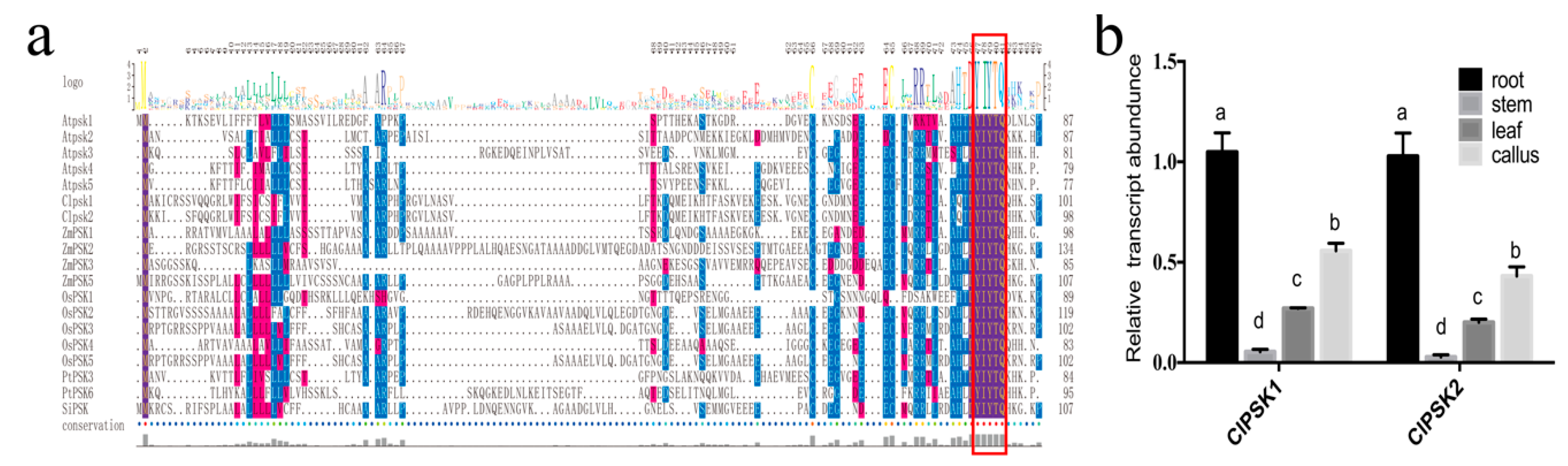 Plants 08 00520 g001