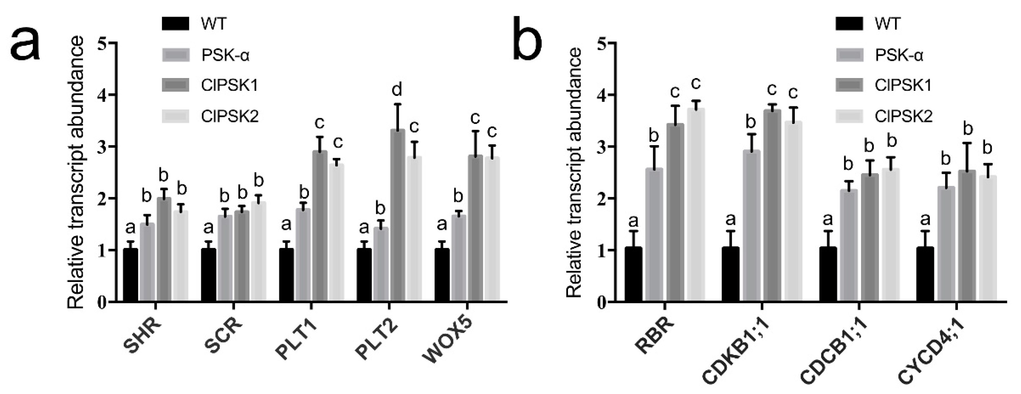Plants 08 00520 g004