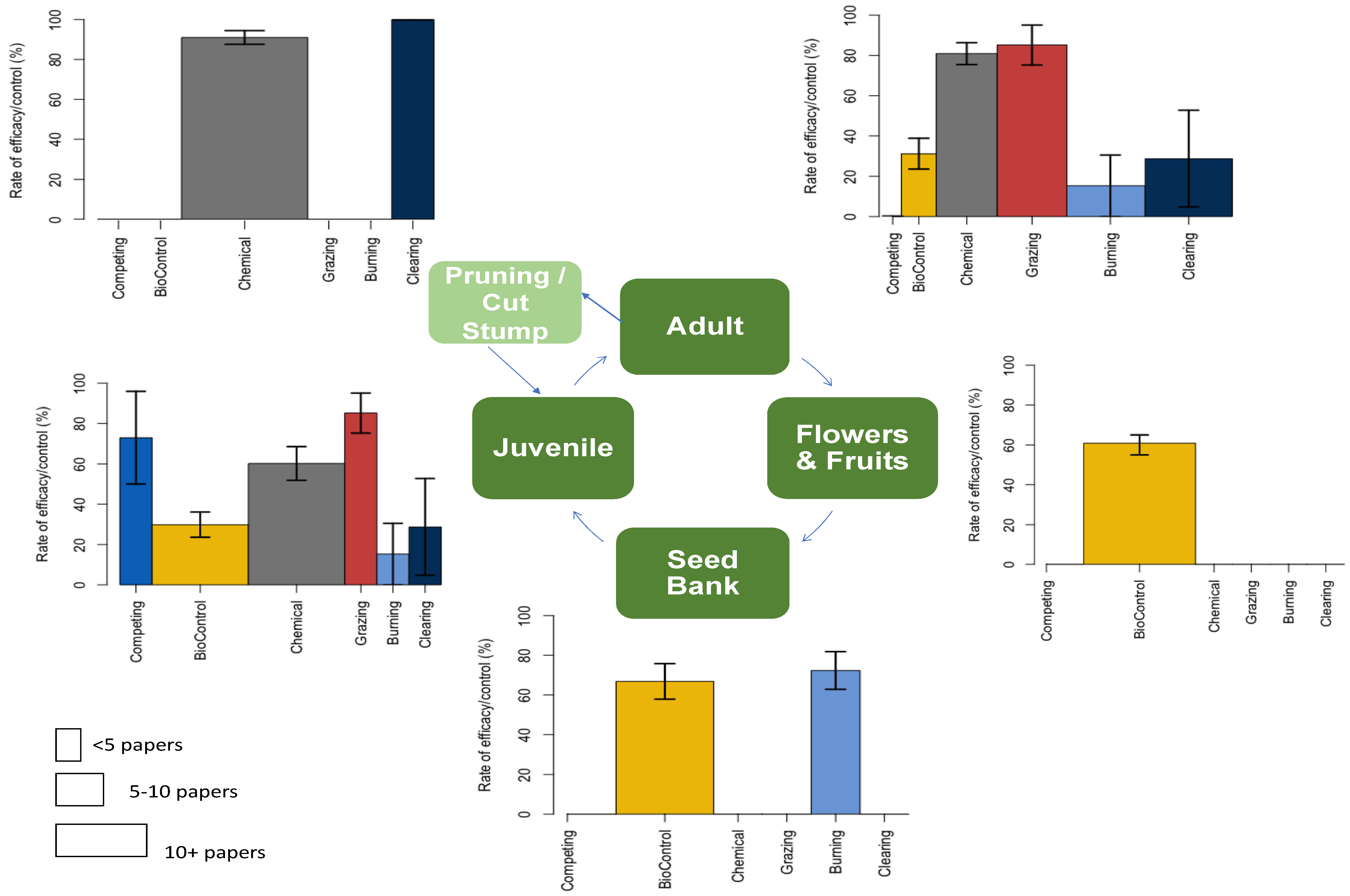Plants 08 00523 g003