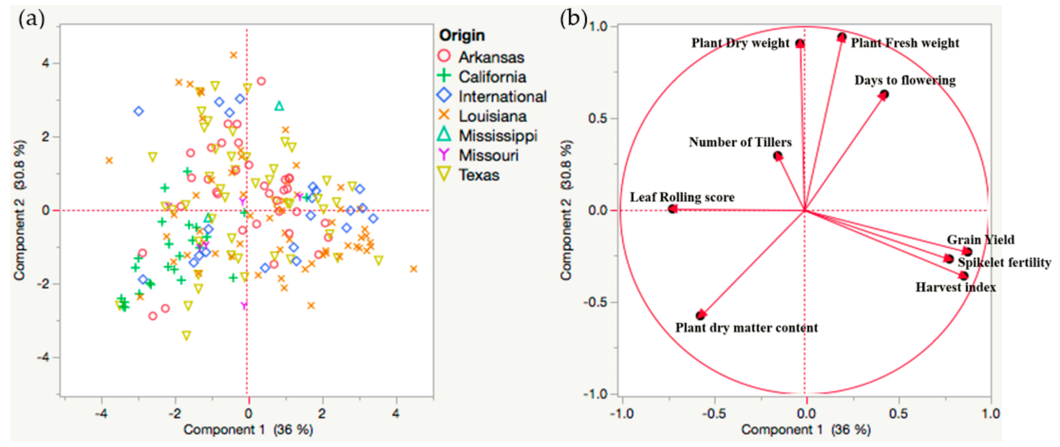 Plants 08 00530 g001
