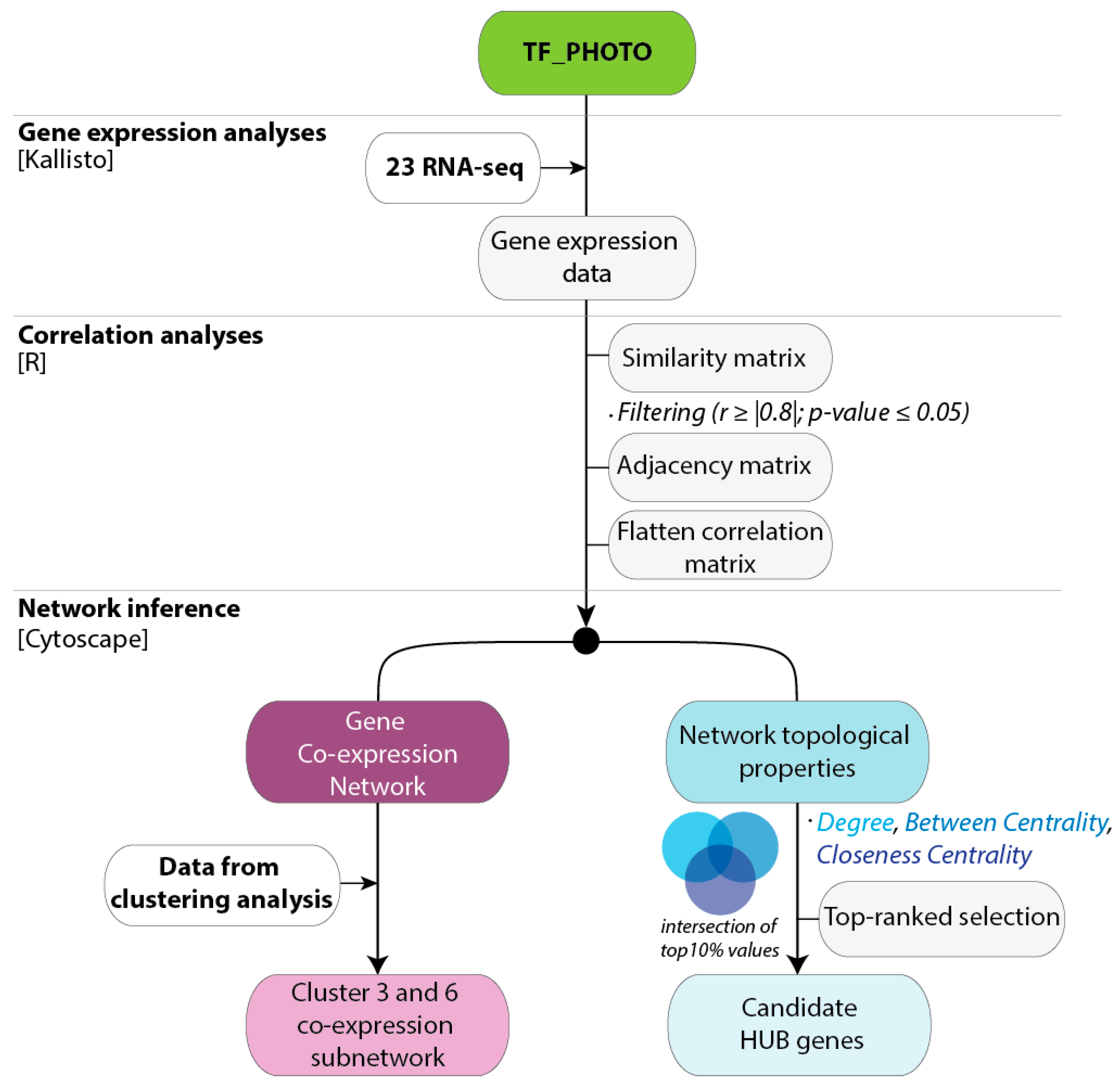 Plants 08 00531 g003
