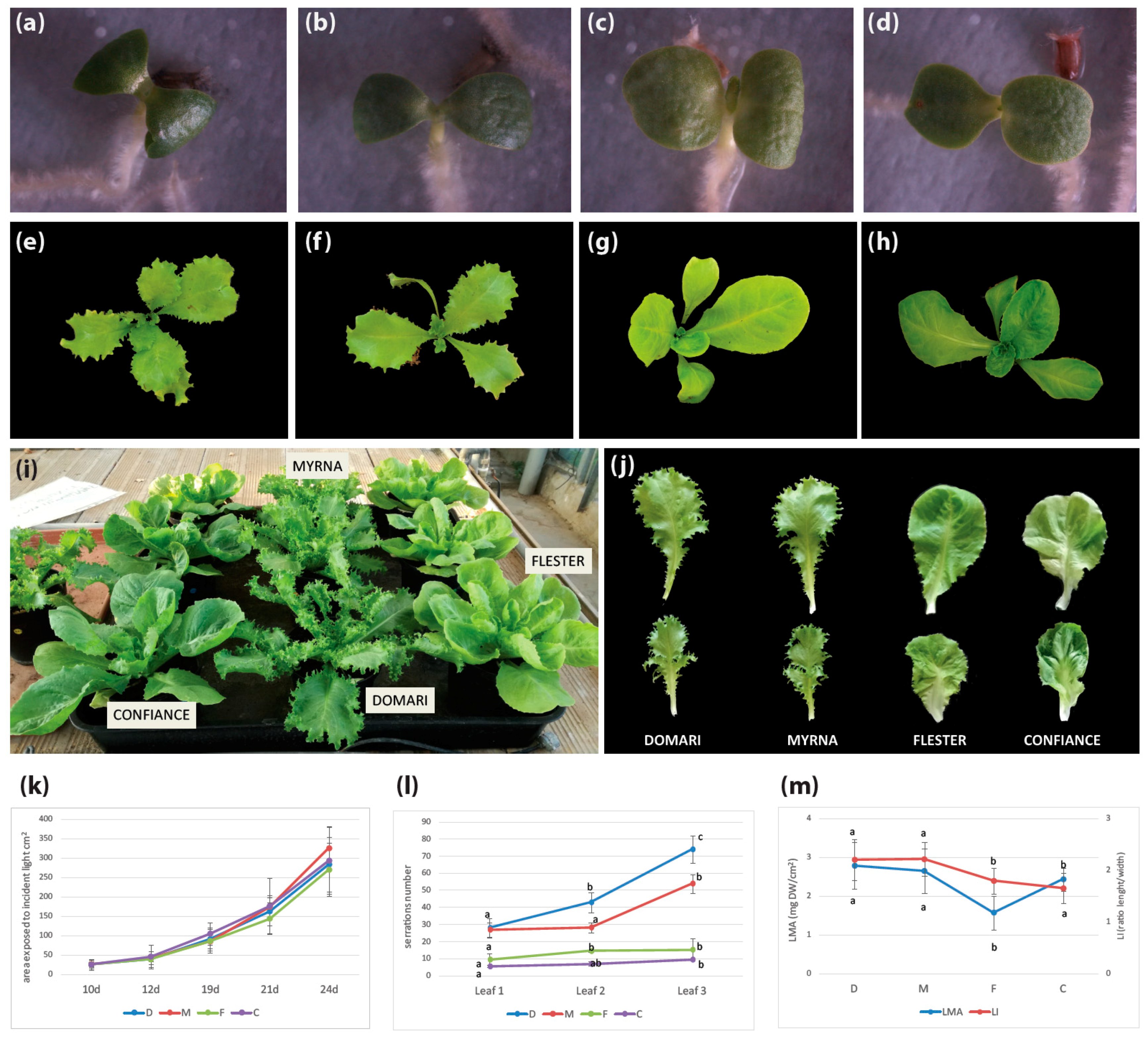 Plants 08 00531 g005