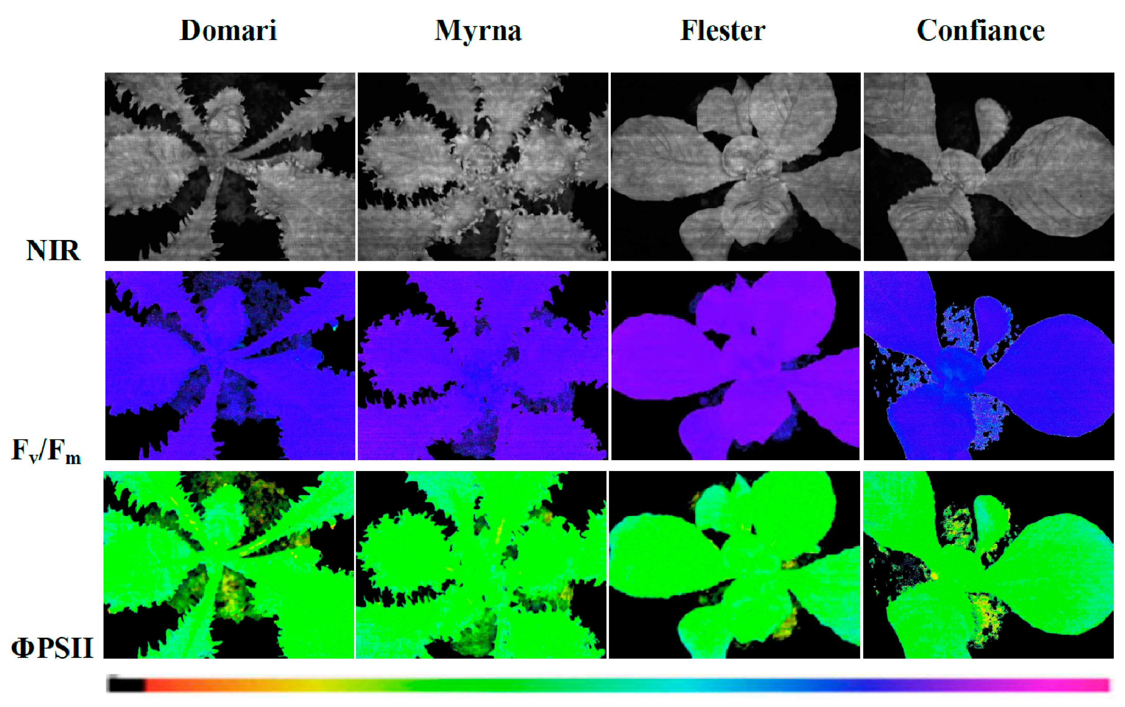 Plants 08 00531 g006
