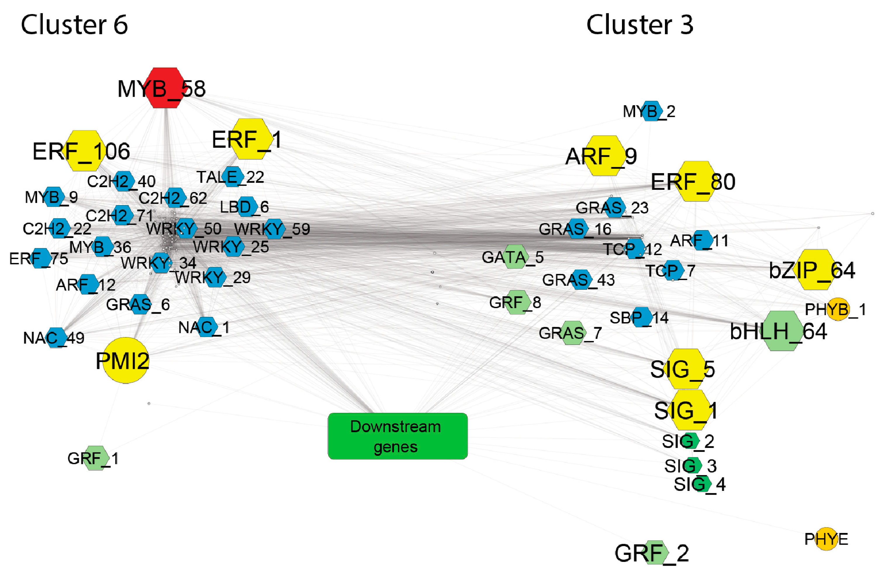 Plants 08 00531 g009