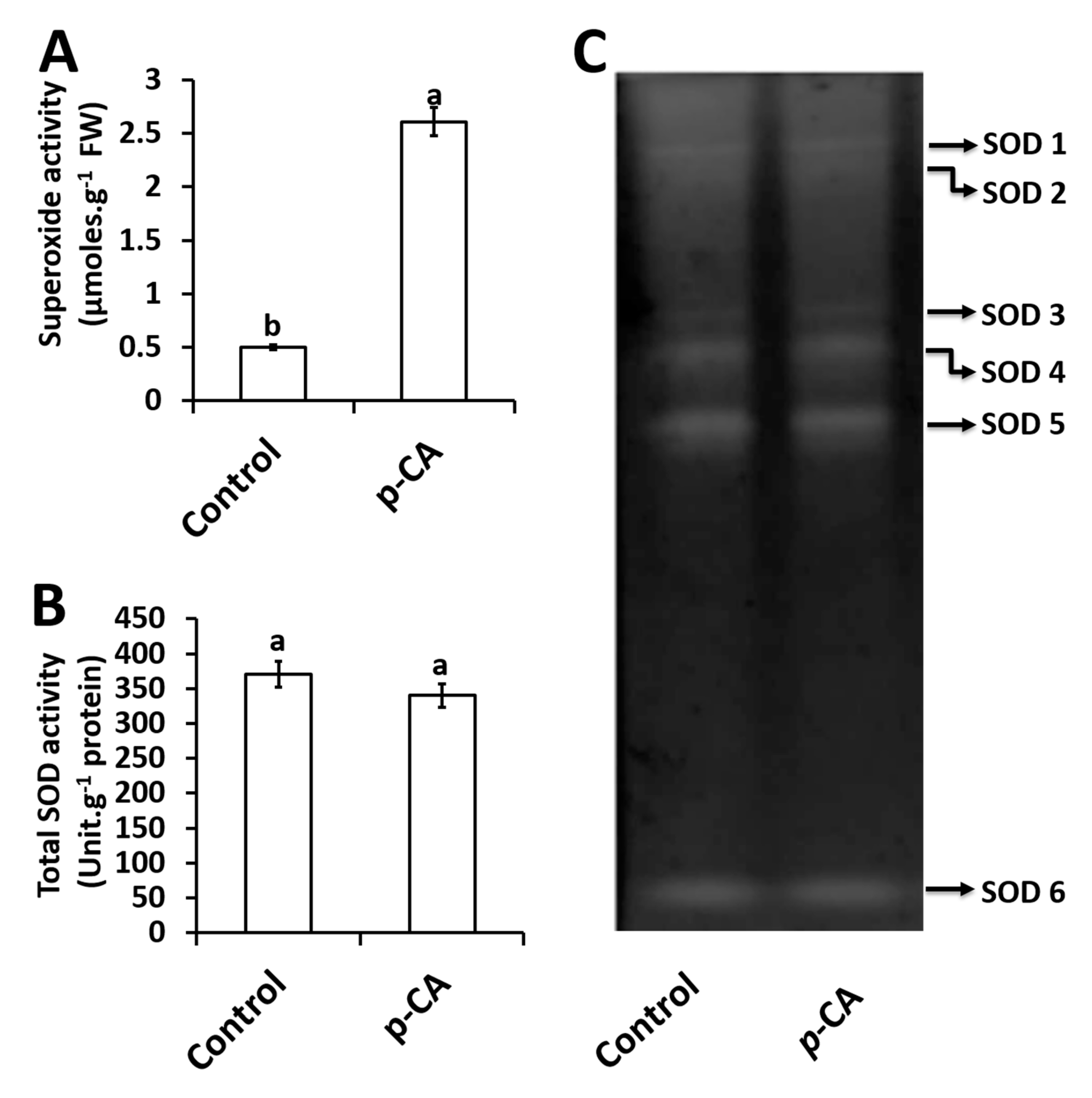 Plants 08 00546 g002