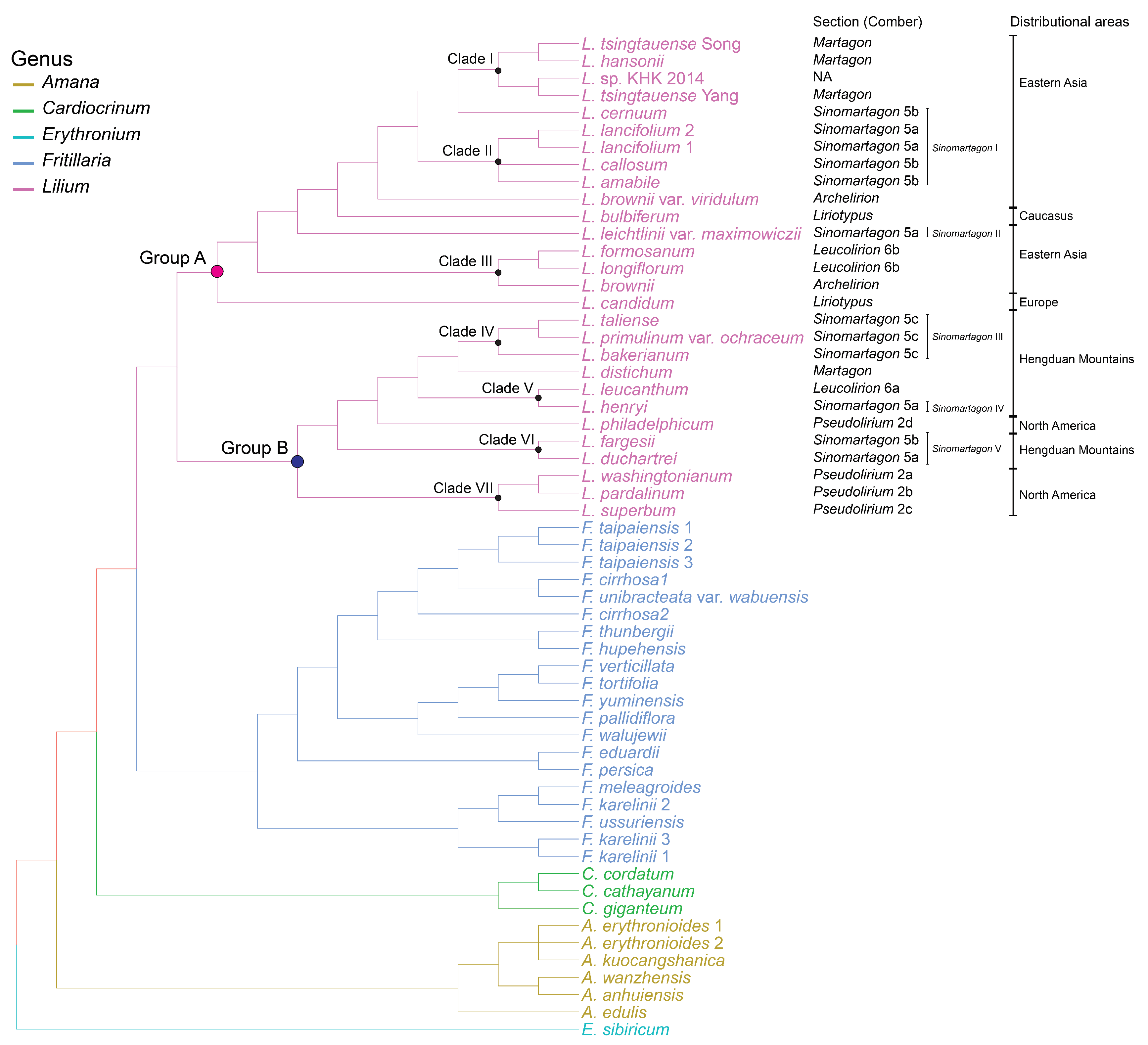 Plants 08 00547 g003 Plants 08 00547 g003