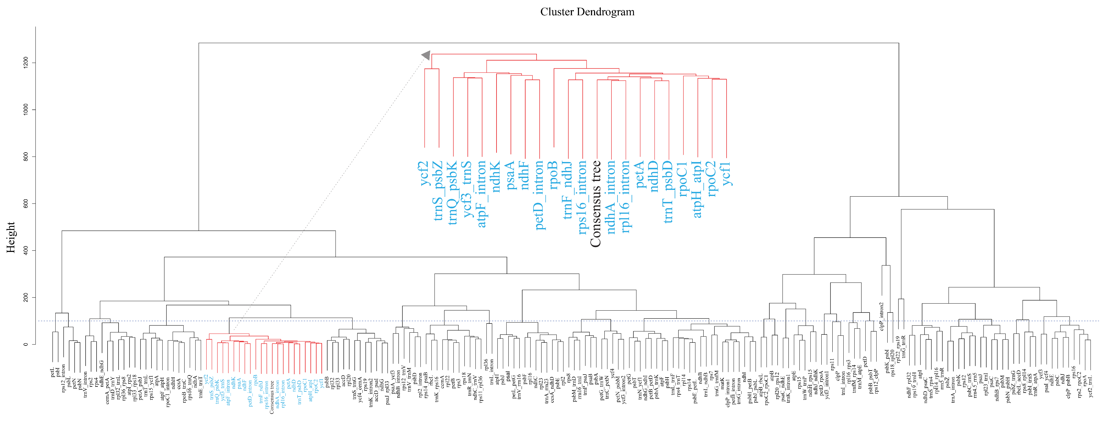 Plants 08 00547 g004 Plants 08 00547 g004