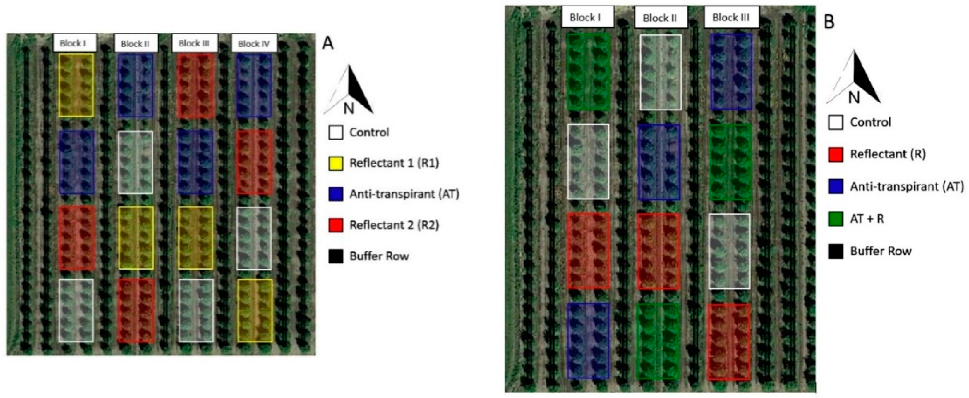 Plants 08 00549 g008