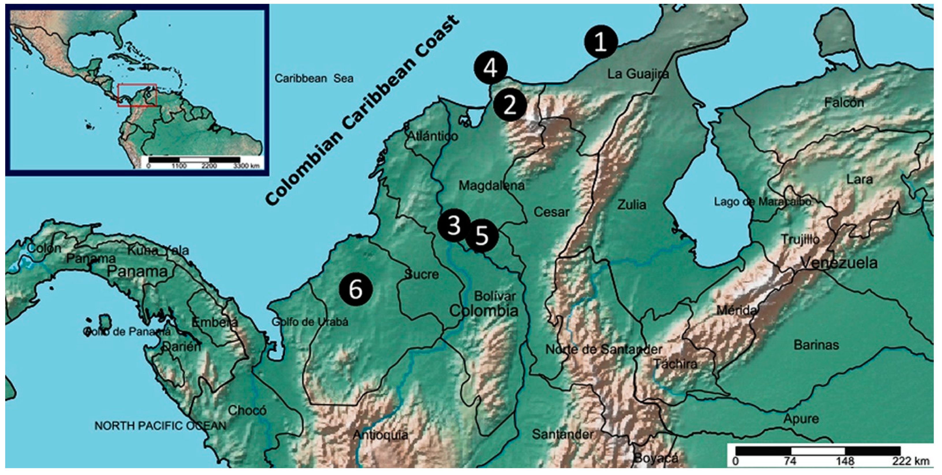 Plants 08 00555 g001