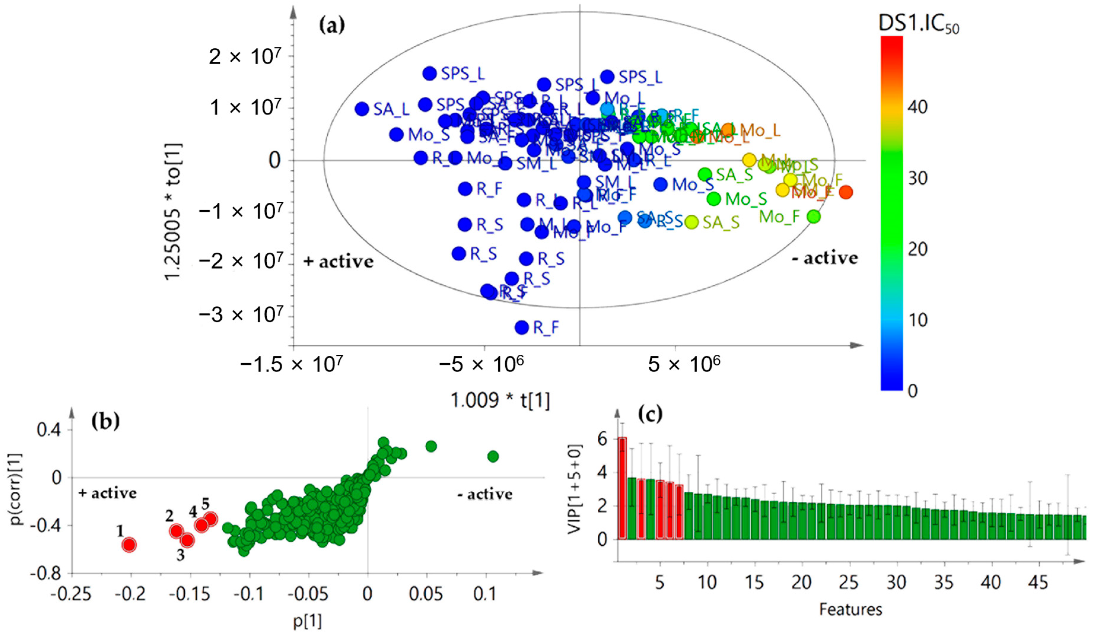 Plants 08 00555 g005