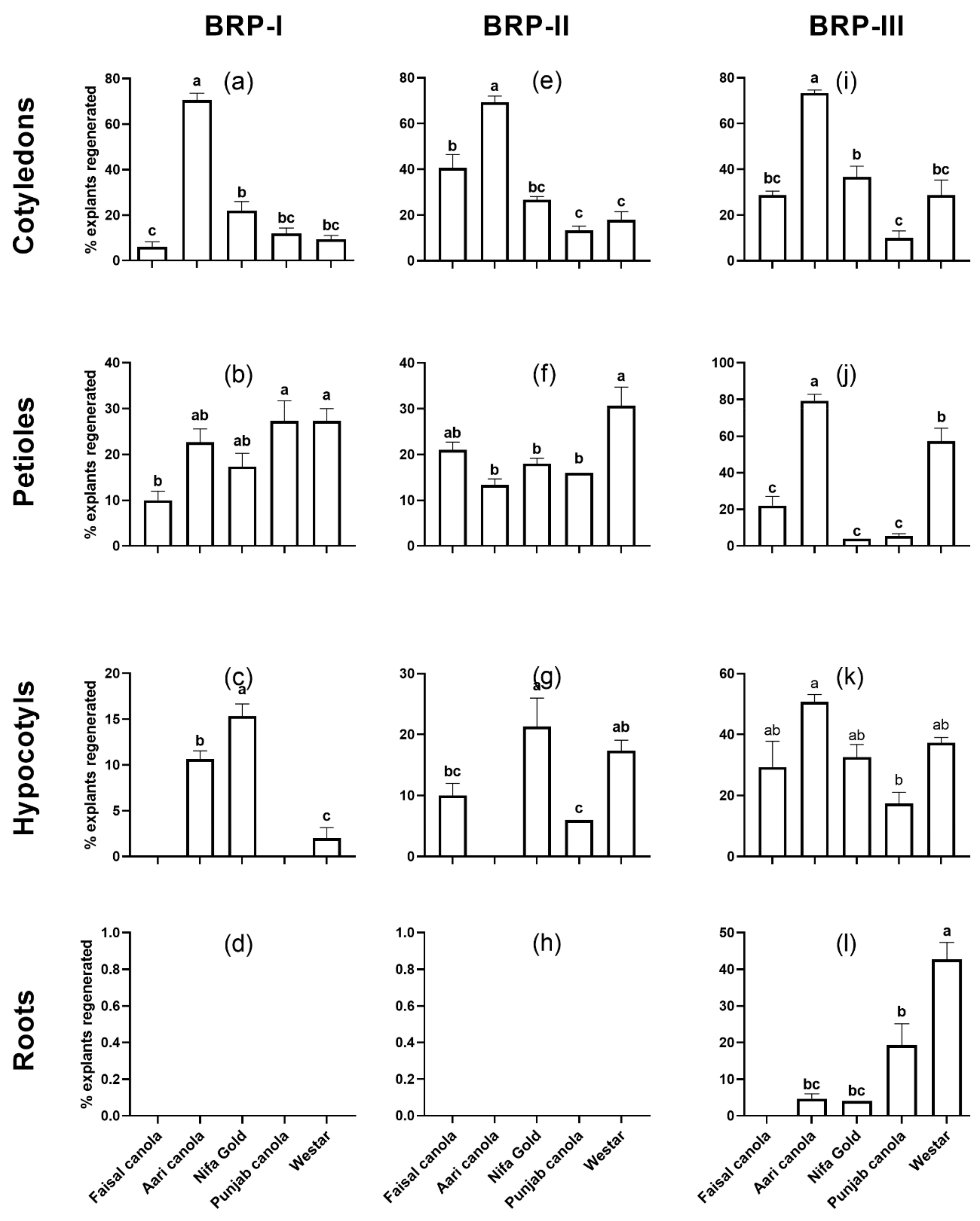 Plants 08 00558 g001