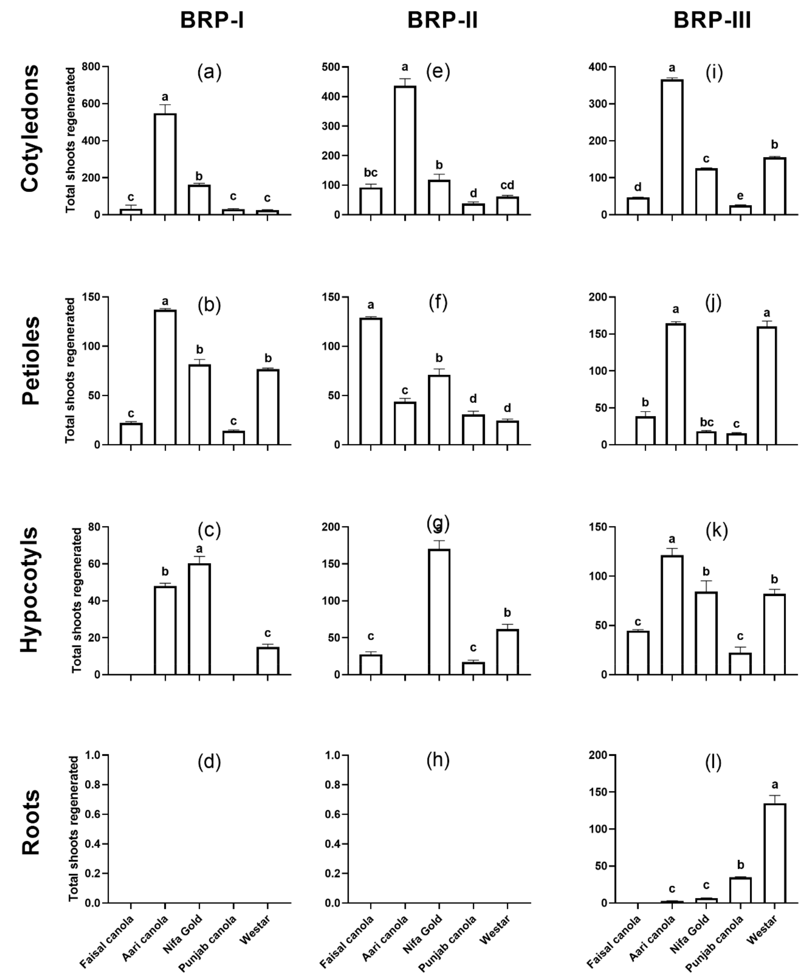Plants 08 00558 g002