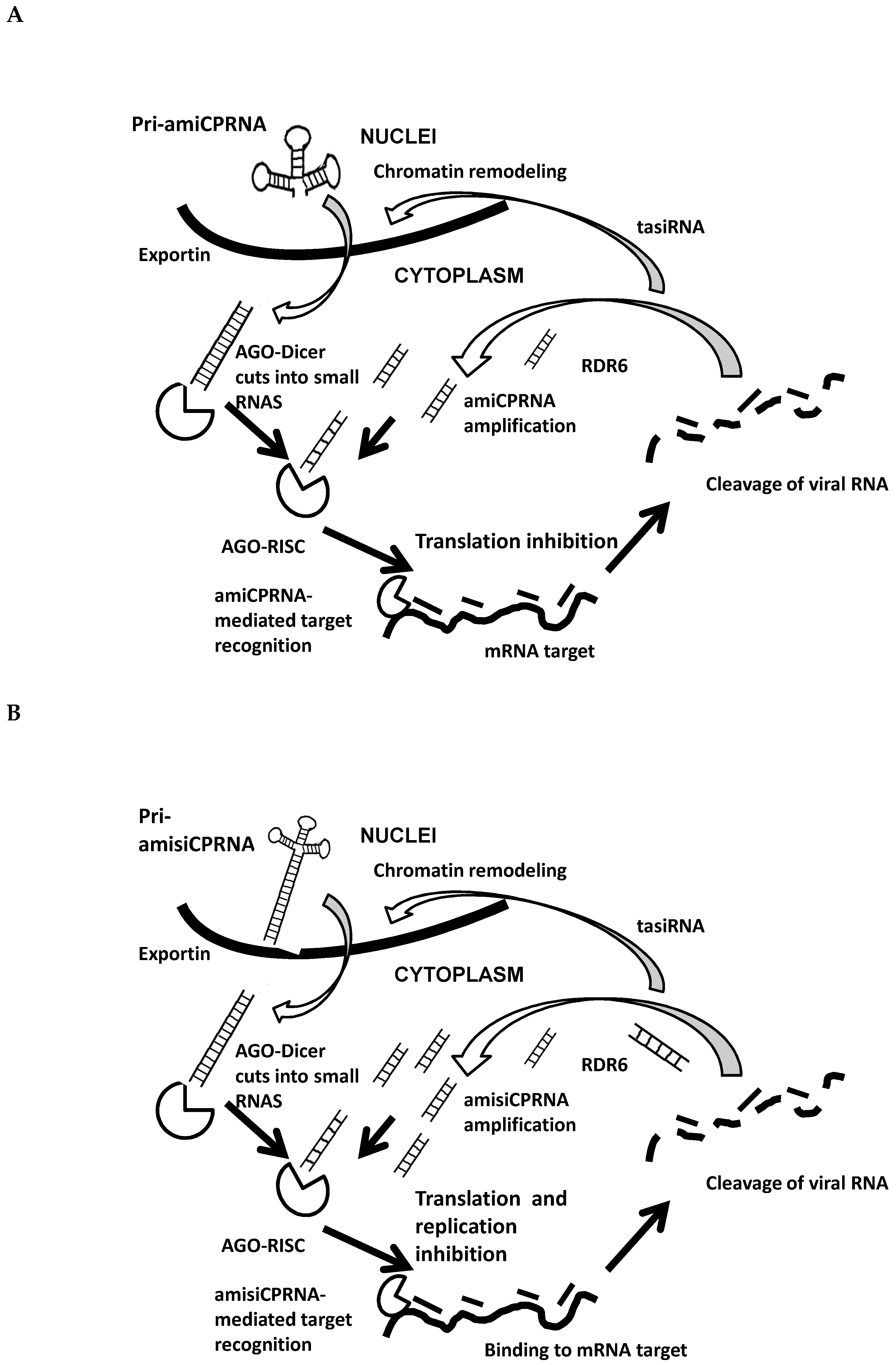 Plants 08 00565 g007