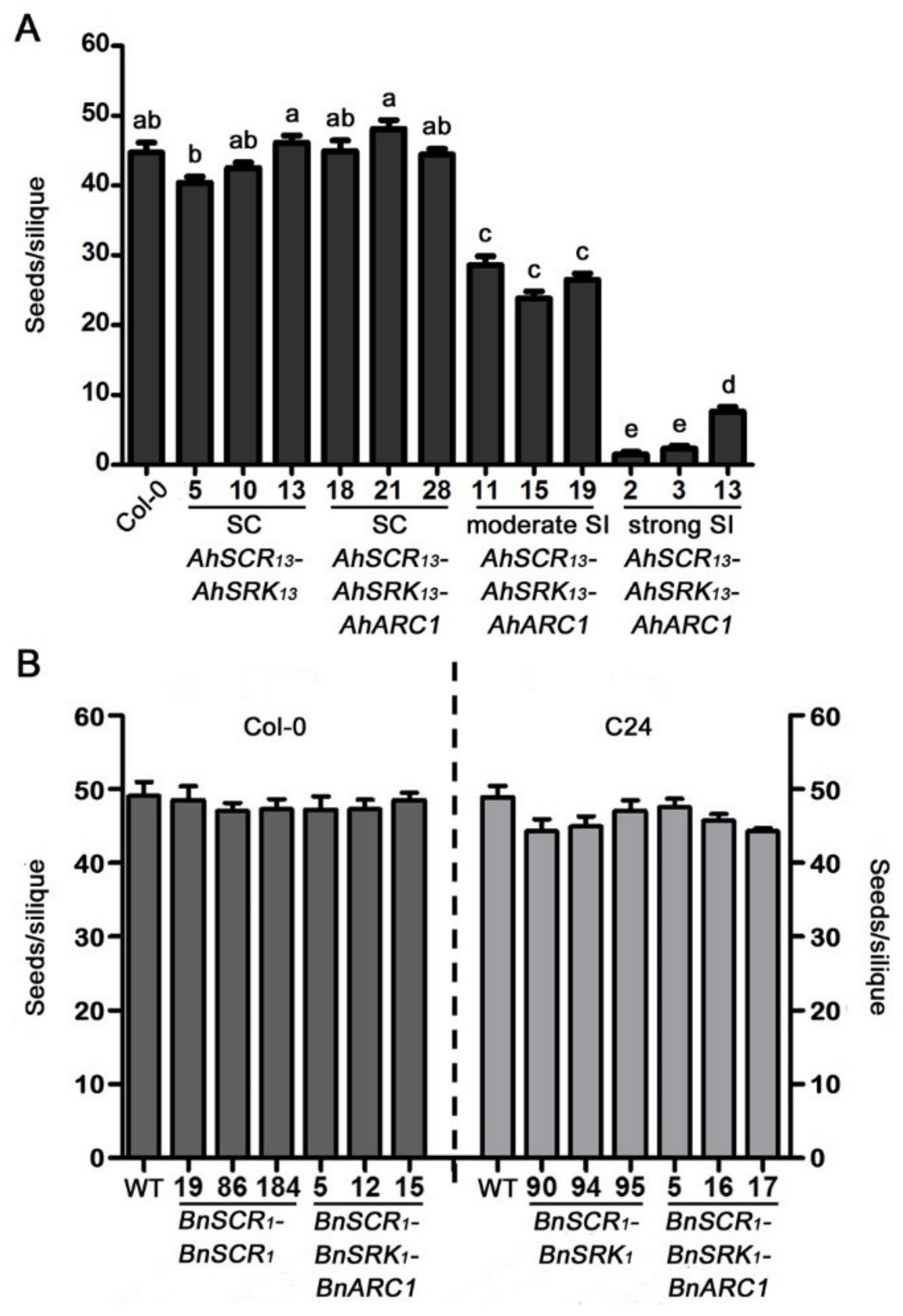 Plants 08 00570 g004