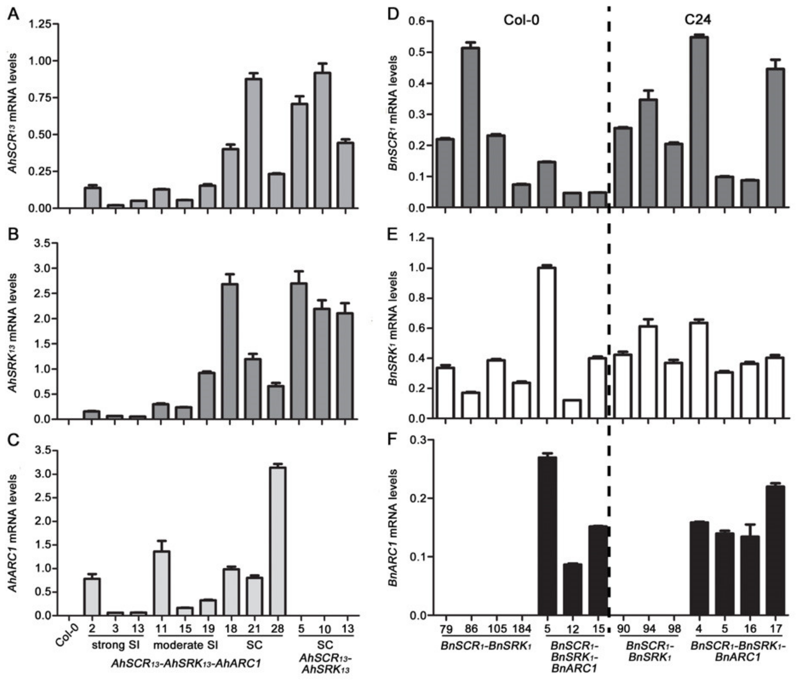 Plants 08 00570 g005