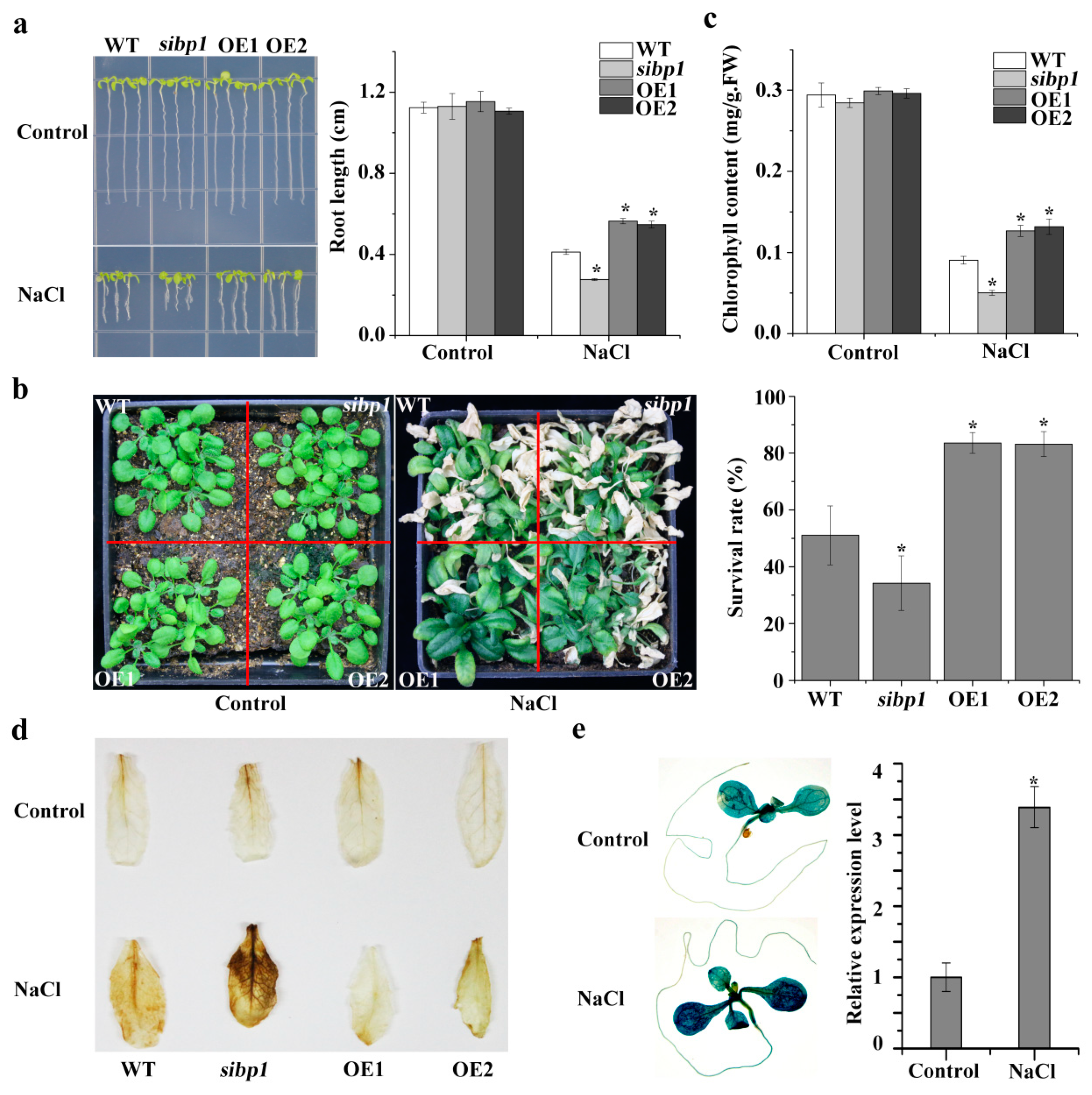 Plants 08 00573 g004
