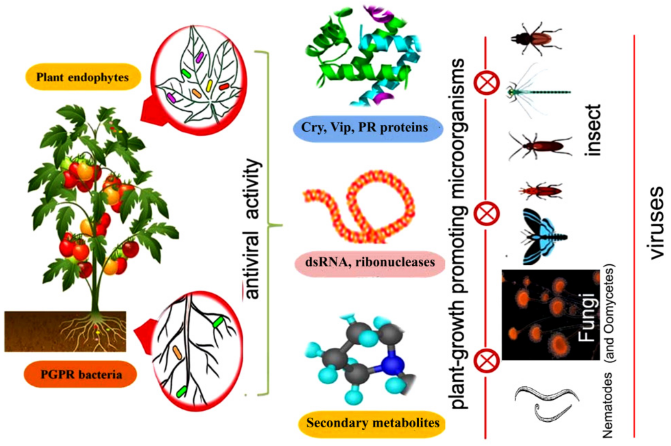 Plants 08 00575 g001 Plants 08 00575 g001