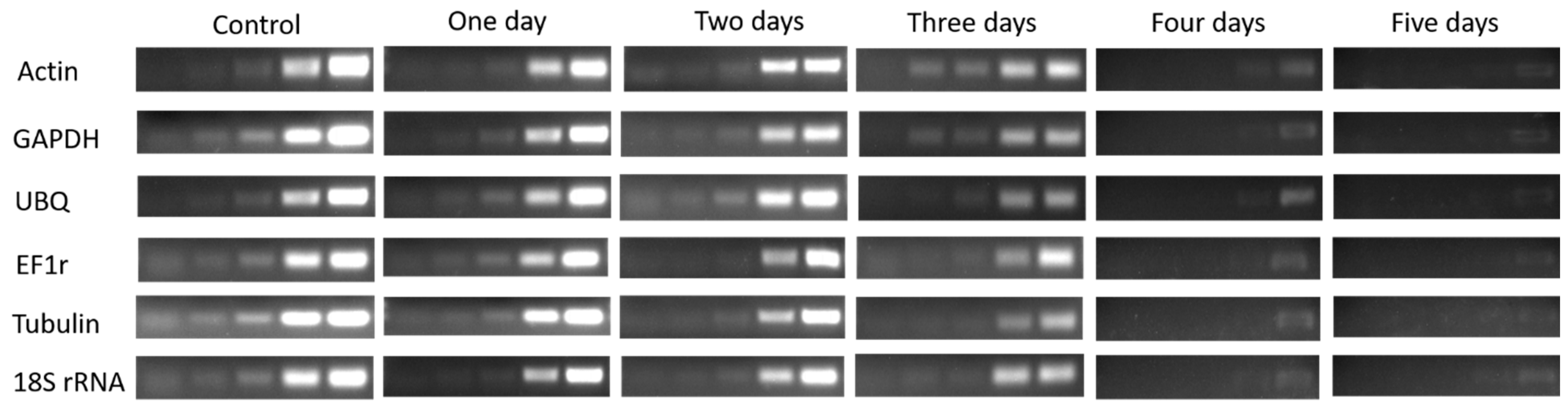 Plants 08 00577 g005
