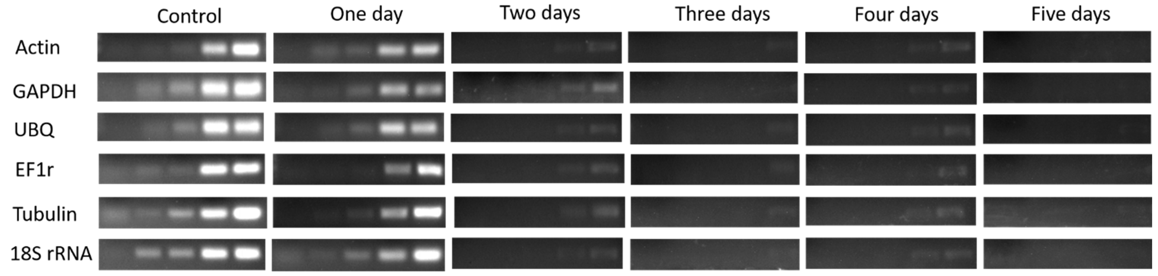 Plants 08 00577 g009