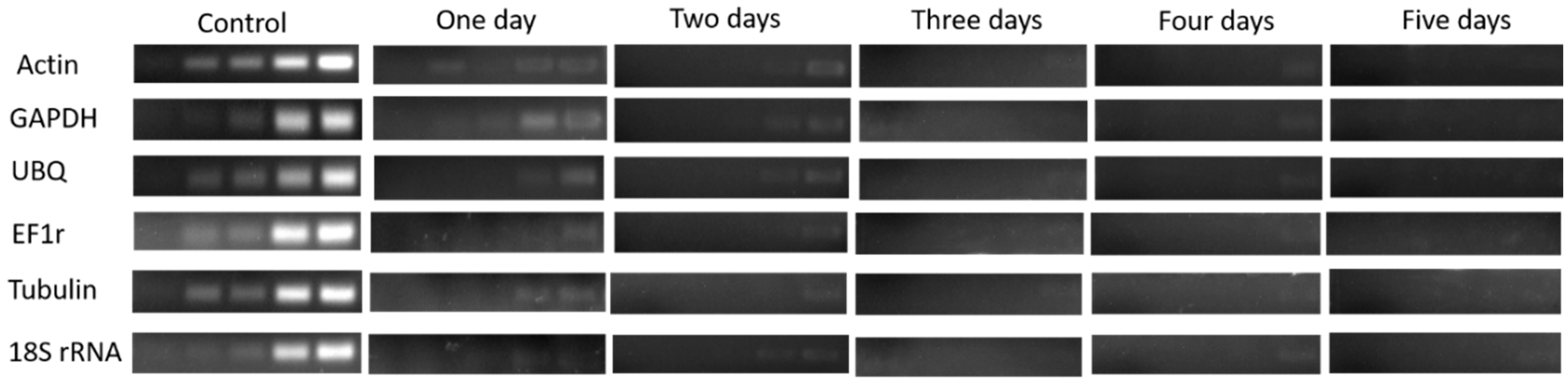 Plants 08 00577 g011