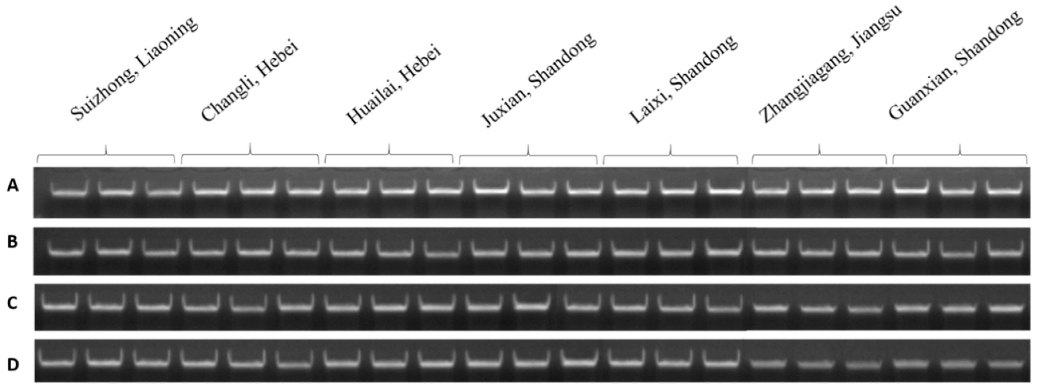 Plants 08 00577 g013